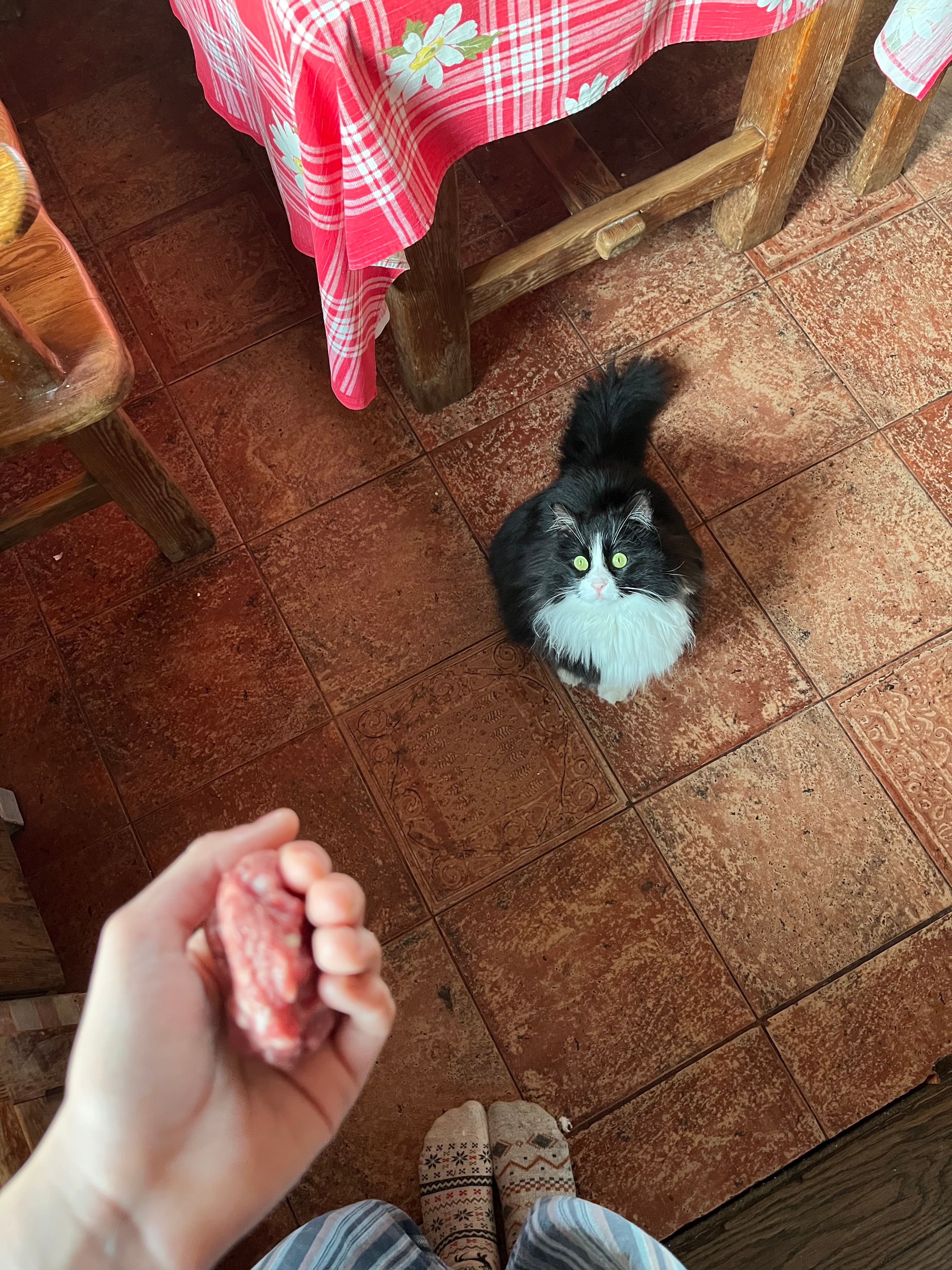 image-8