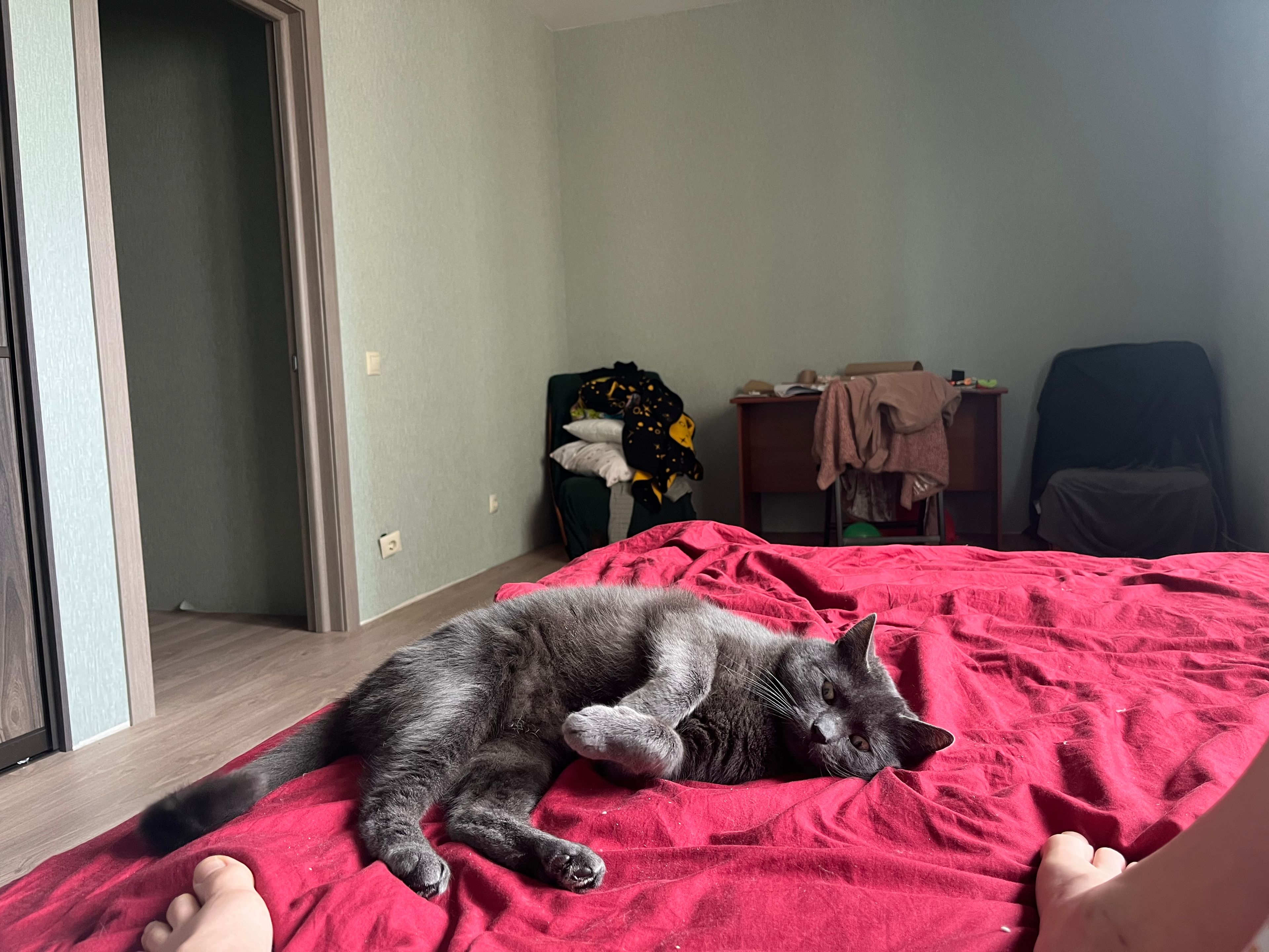 image-10