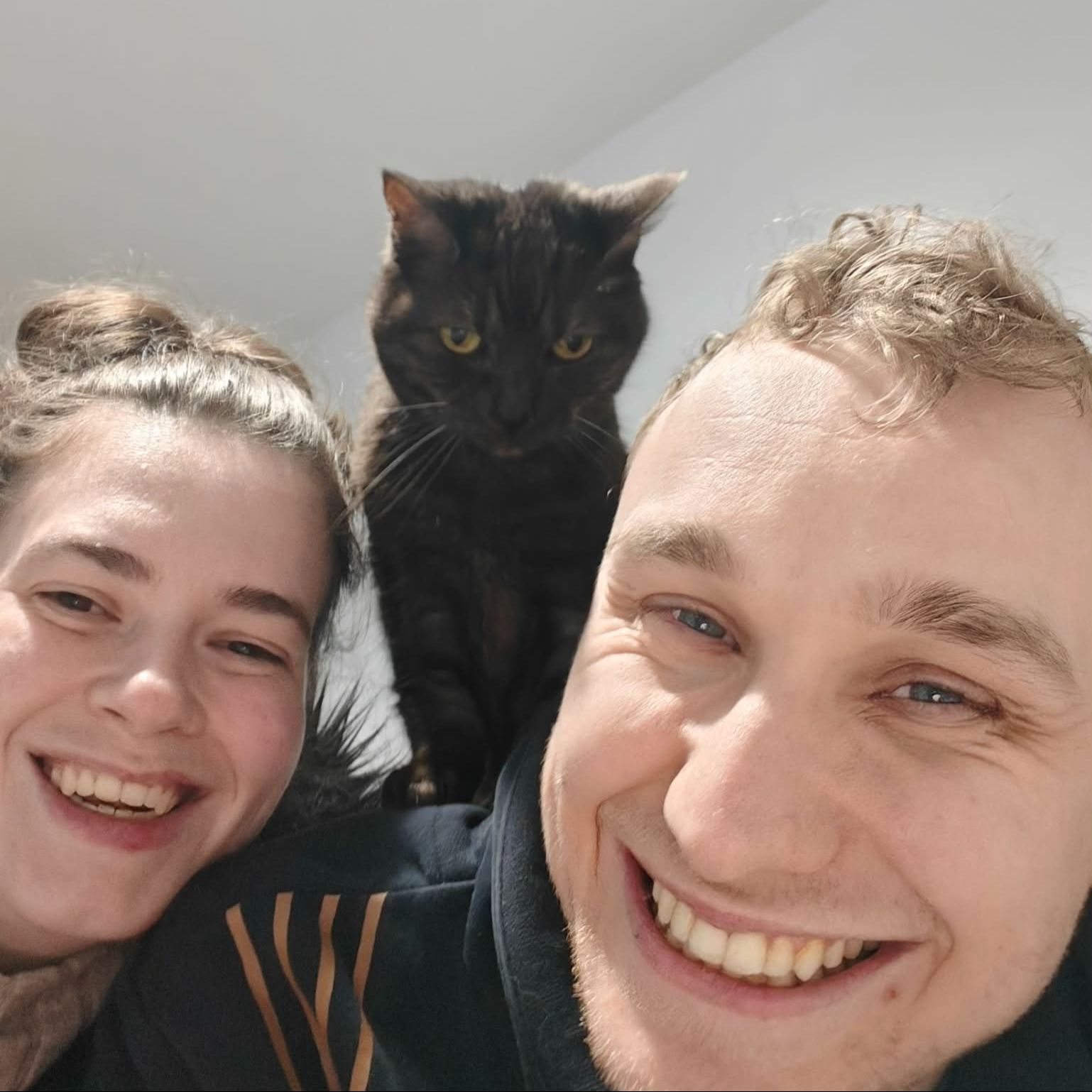 Kitty