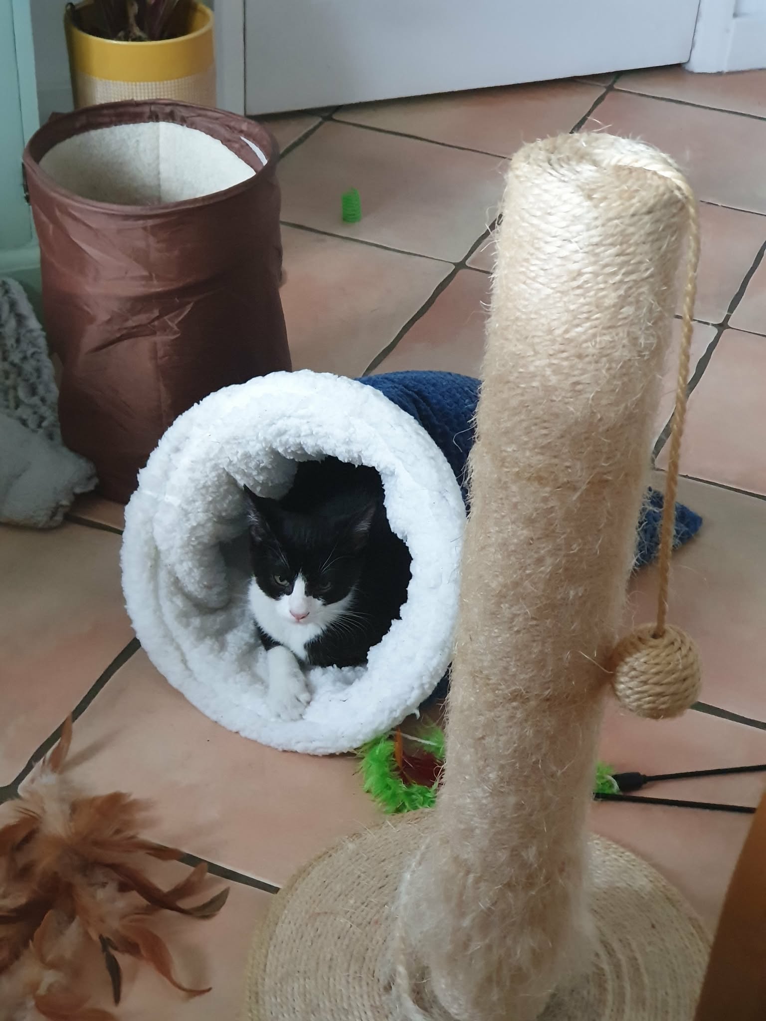 image-11
