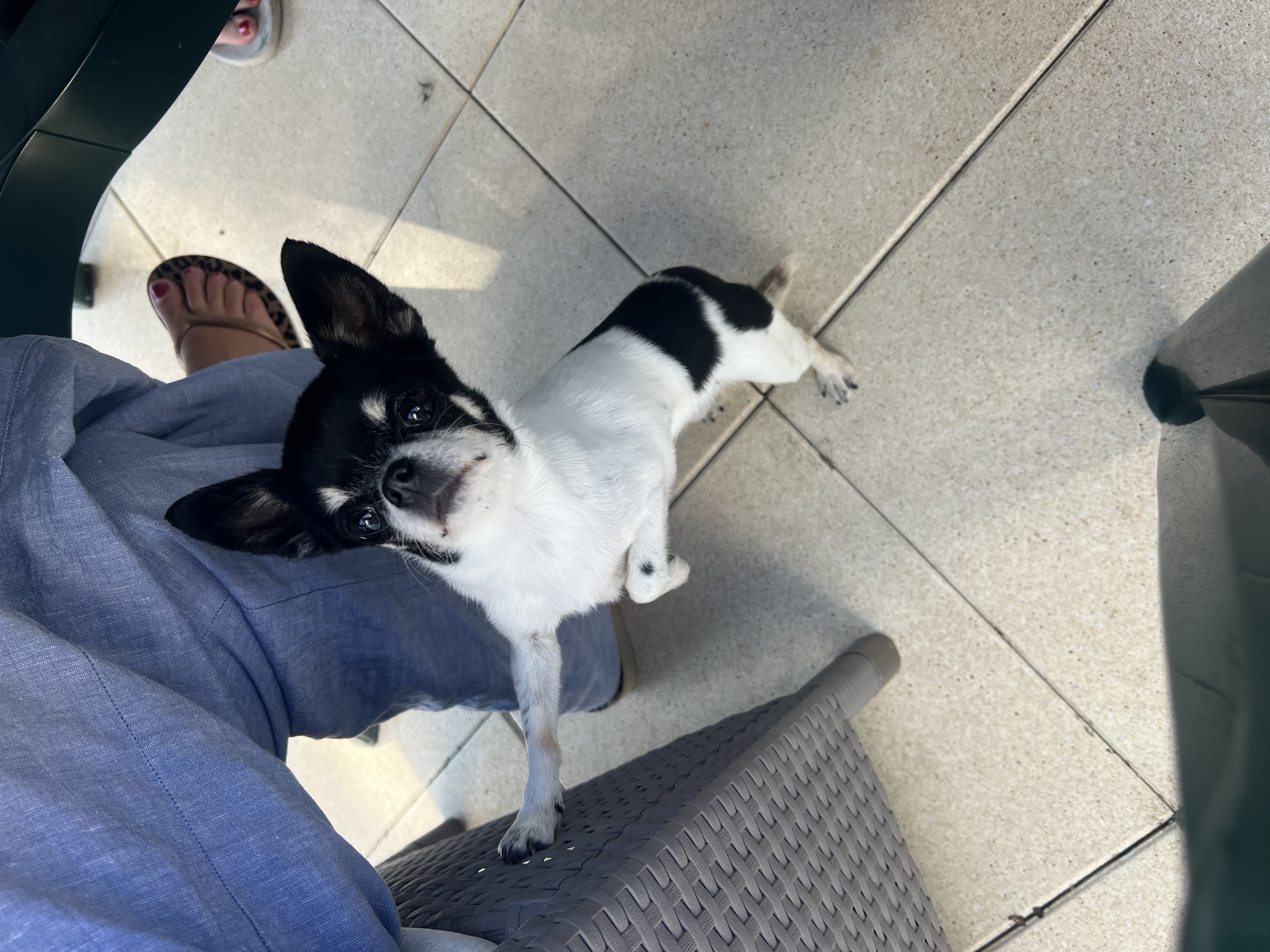image-12