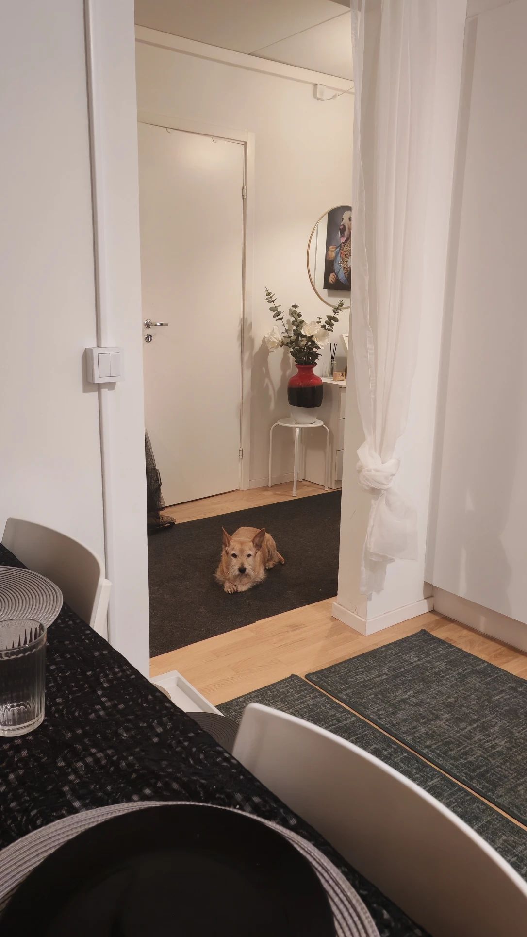 image-41