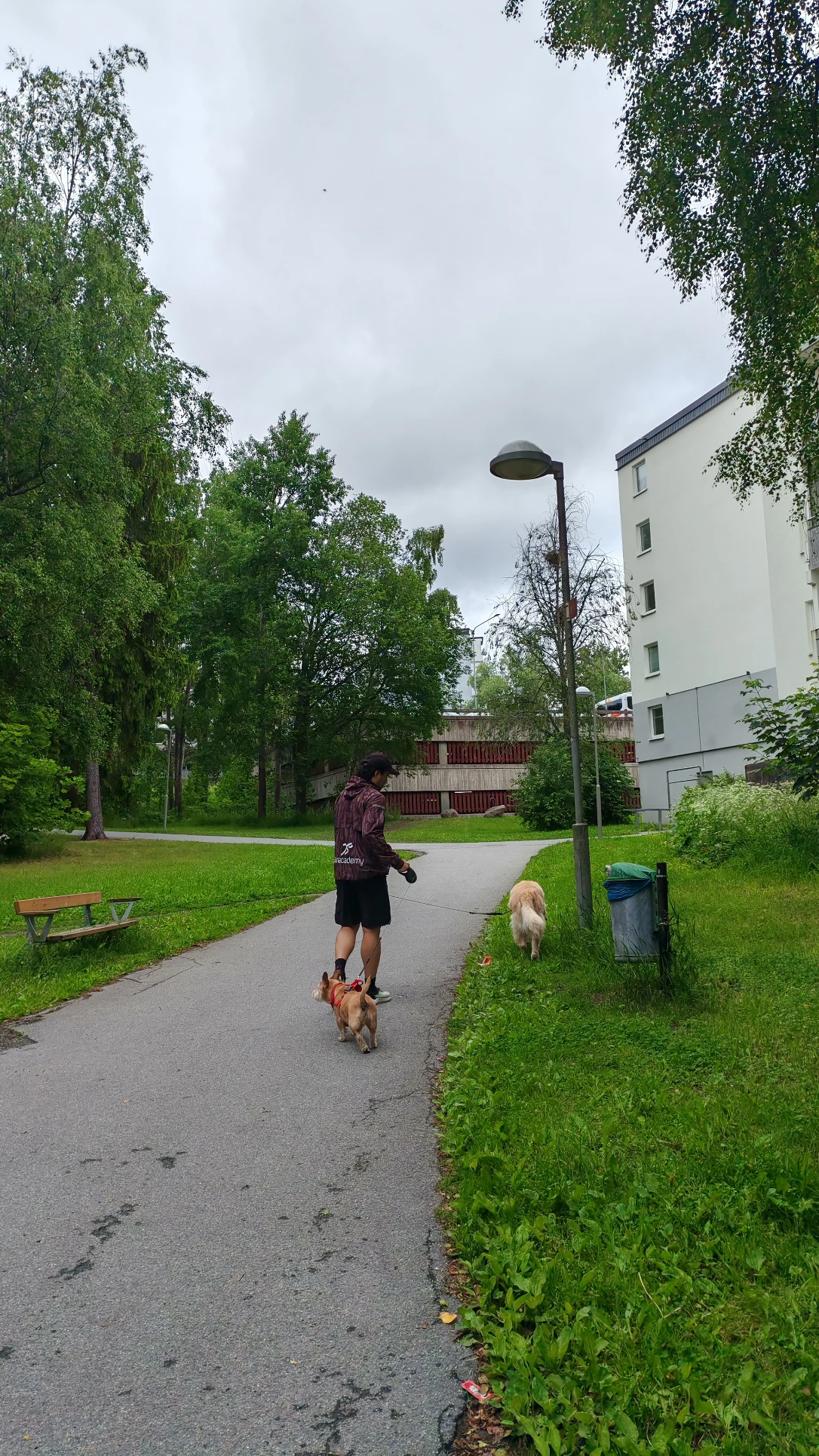 image-20