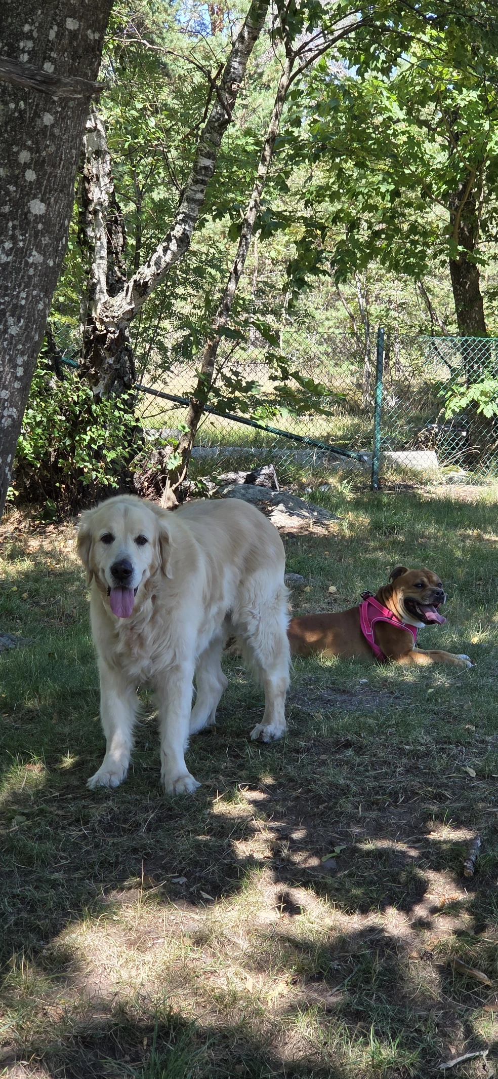image-44