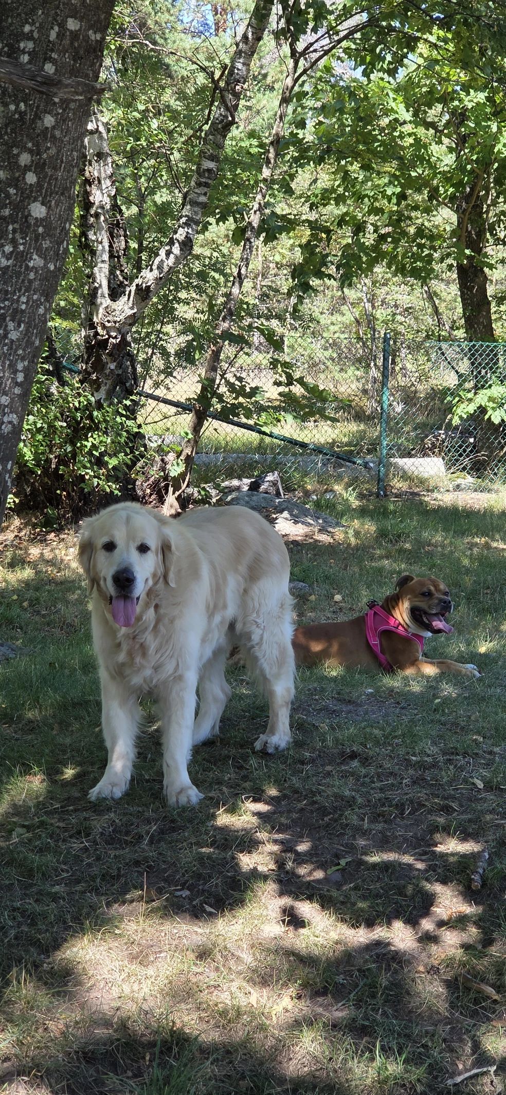 image-44