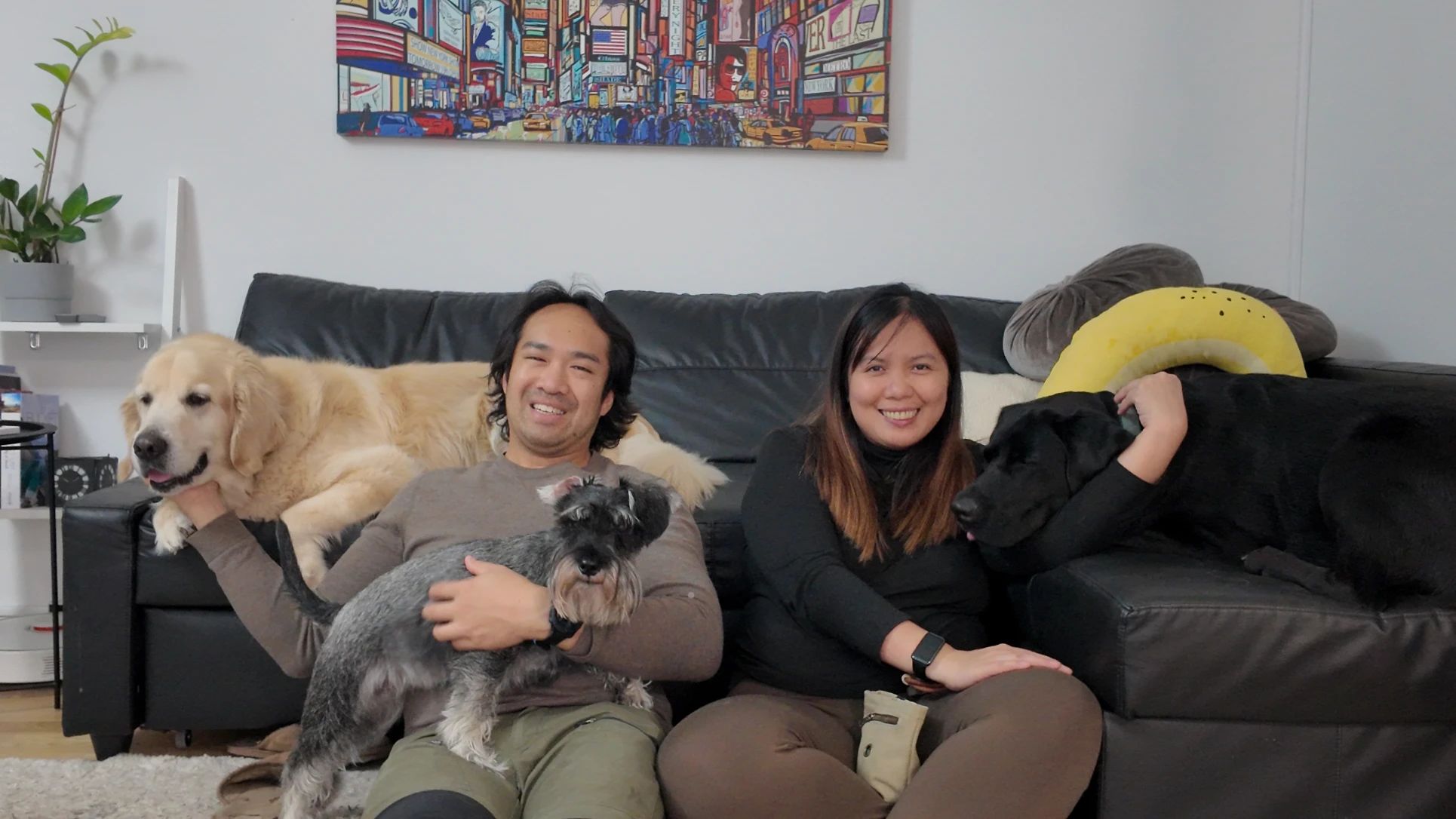 image-19