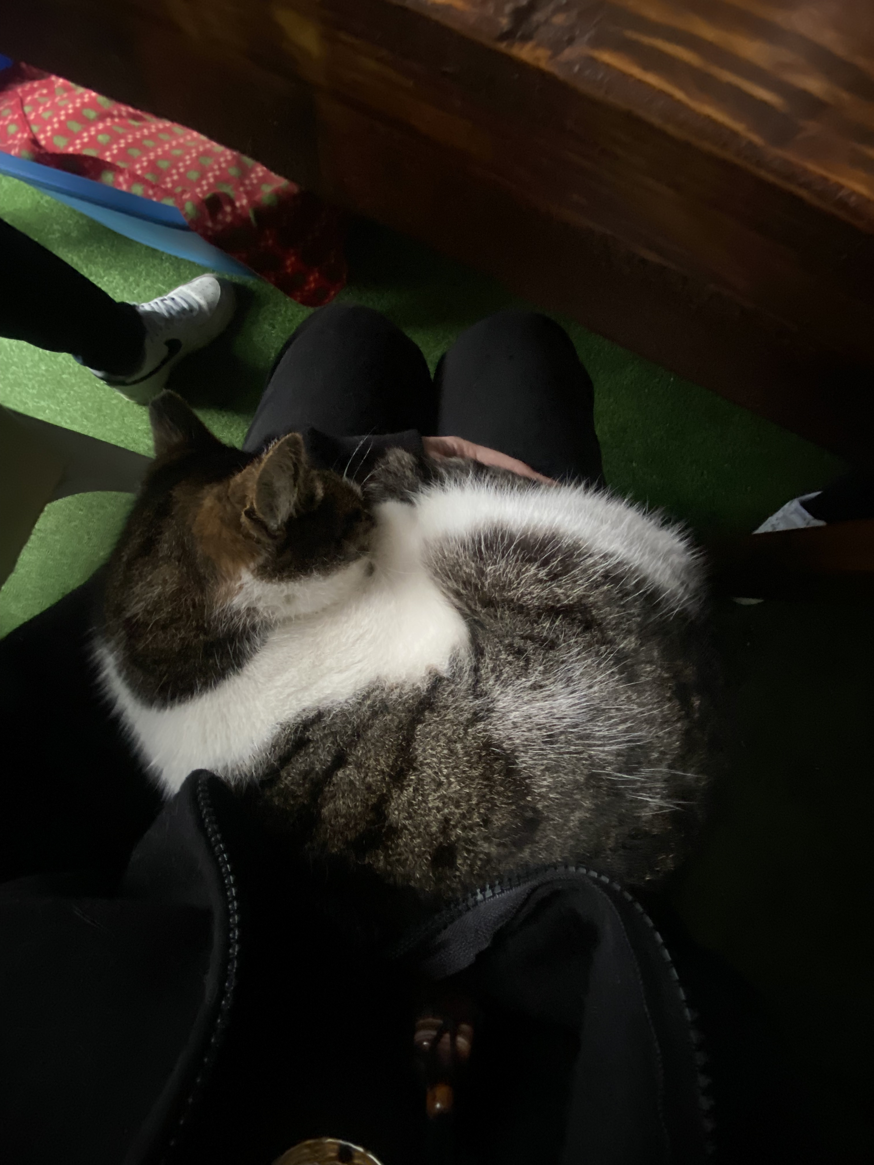 image-6