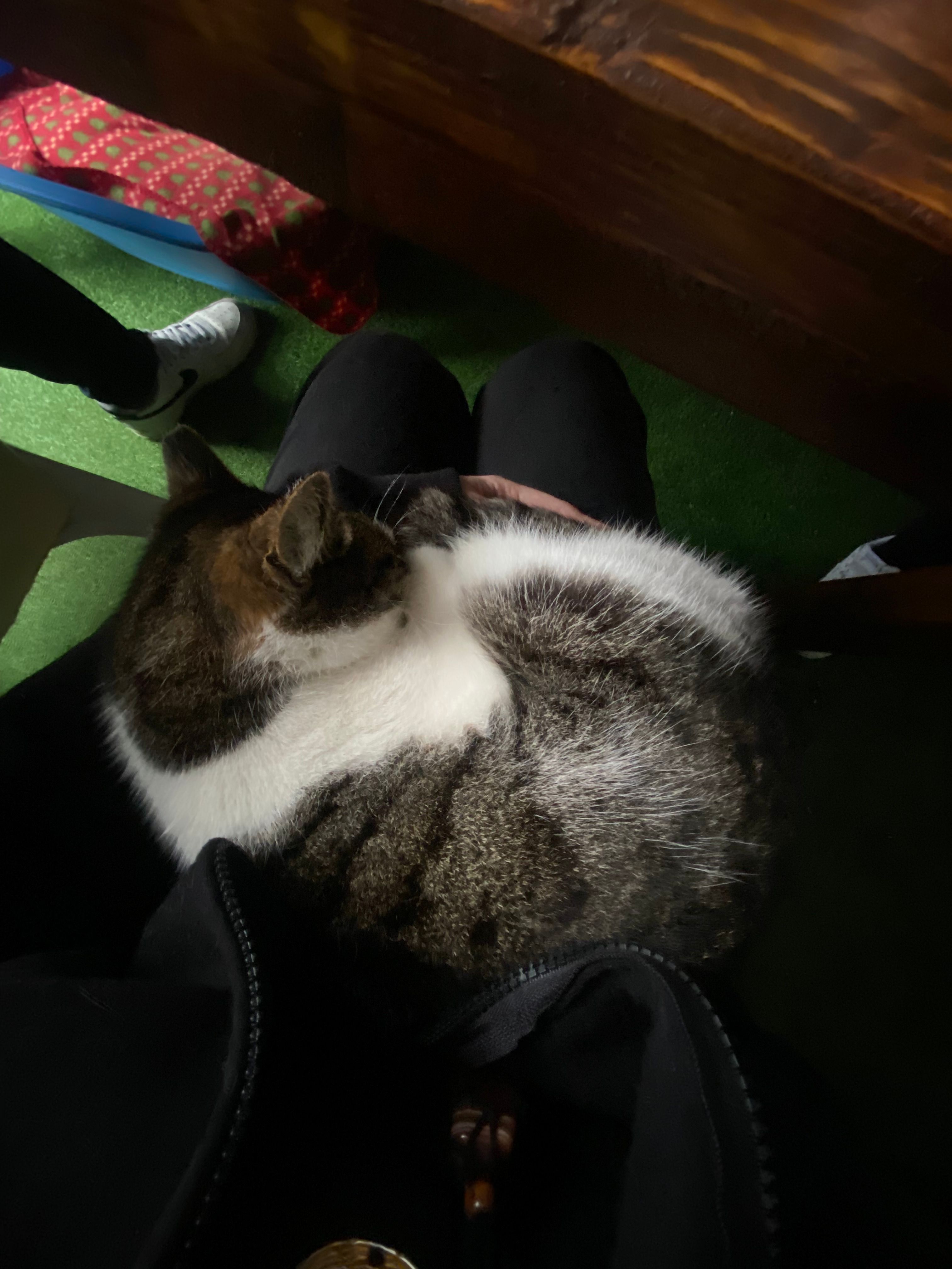 image-6