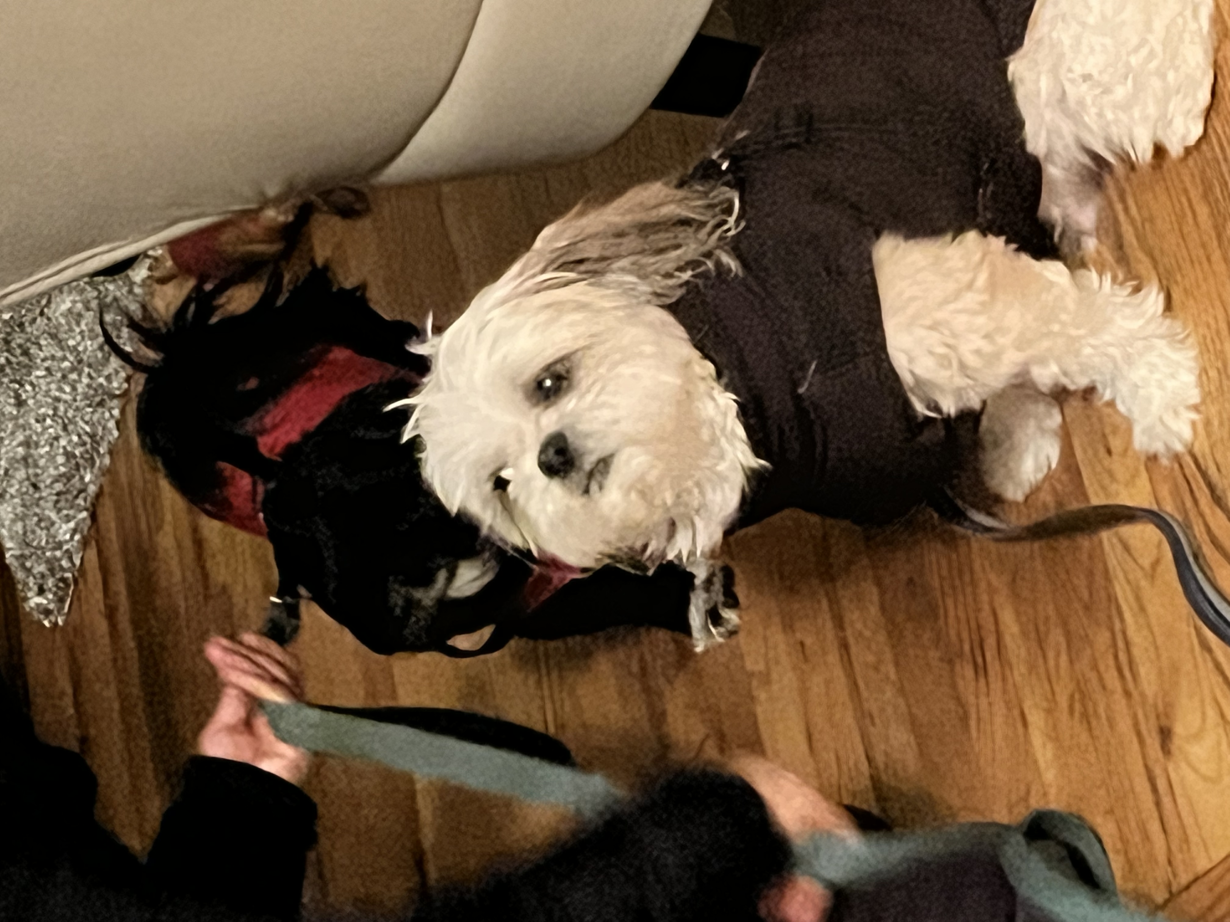image-6