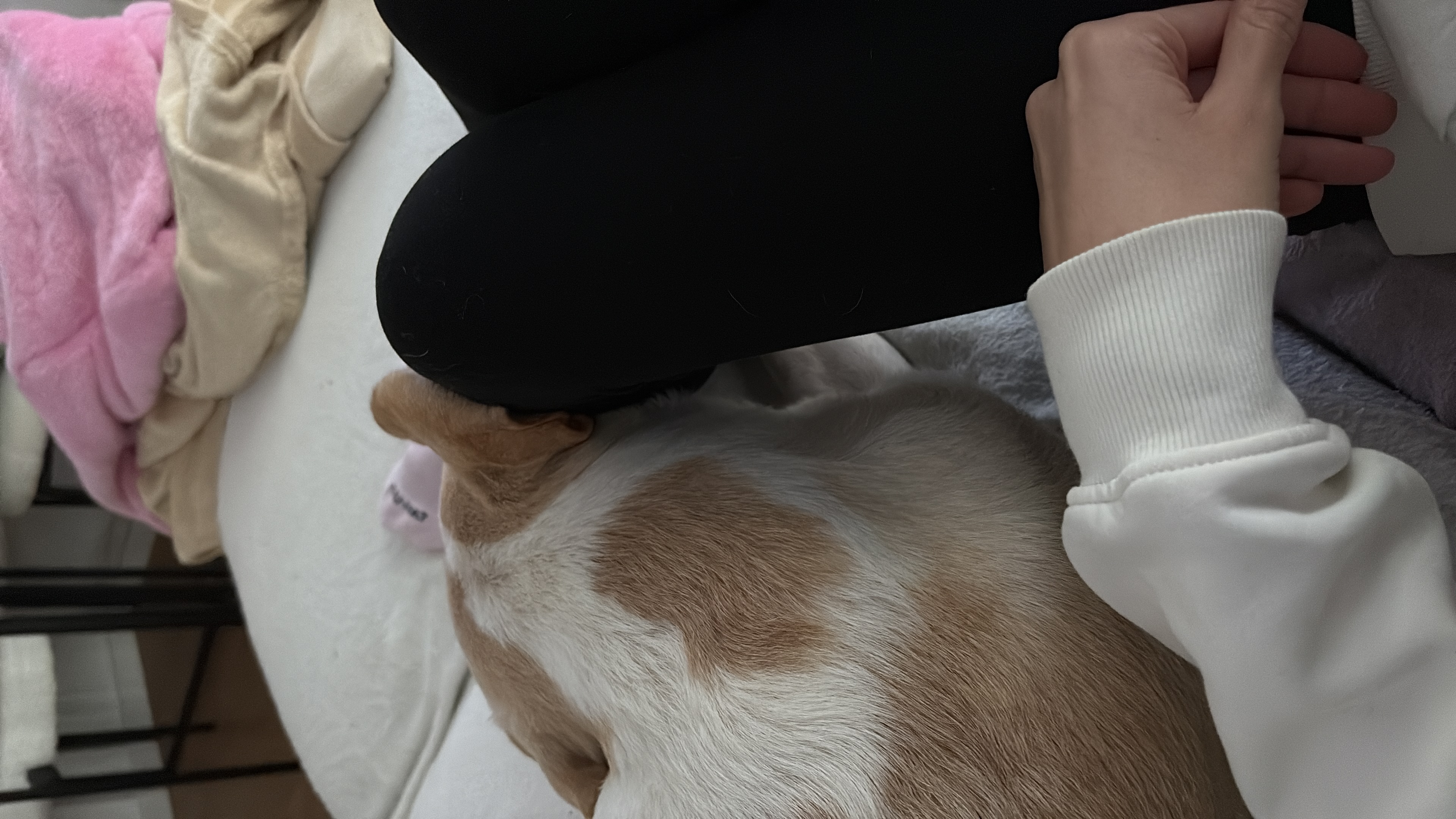 image-8