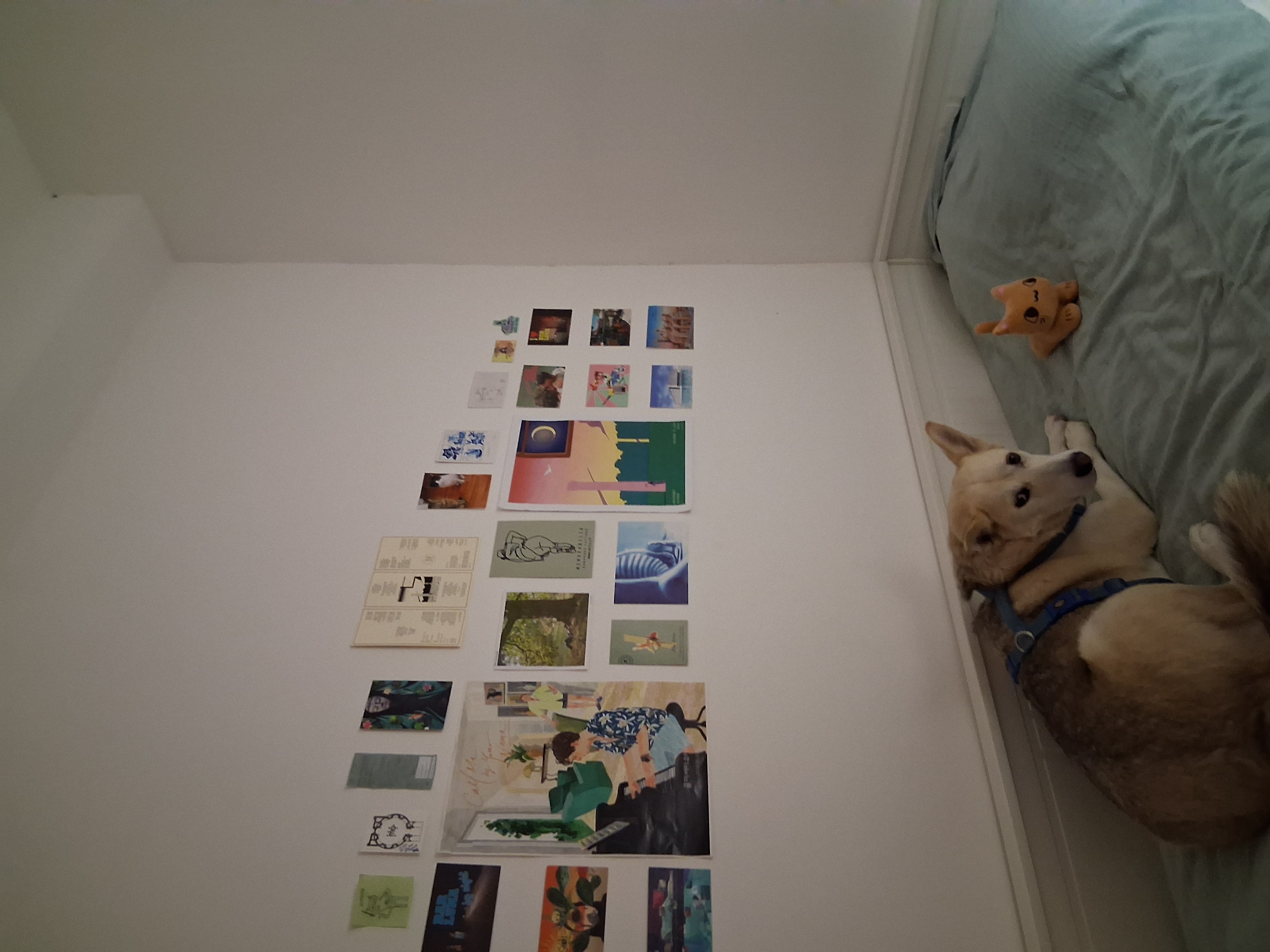 image-15