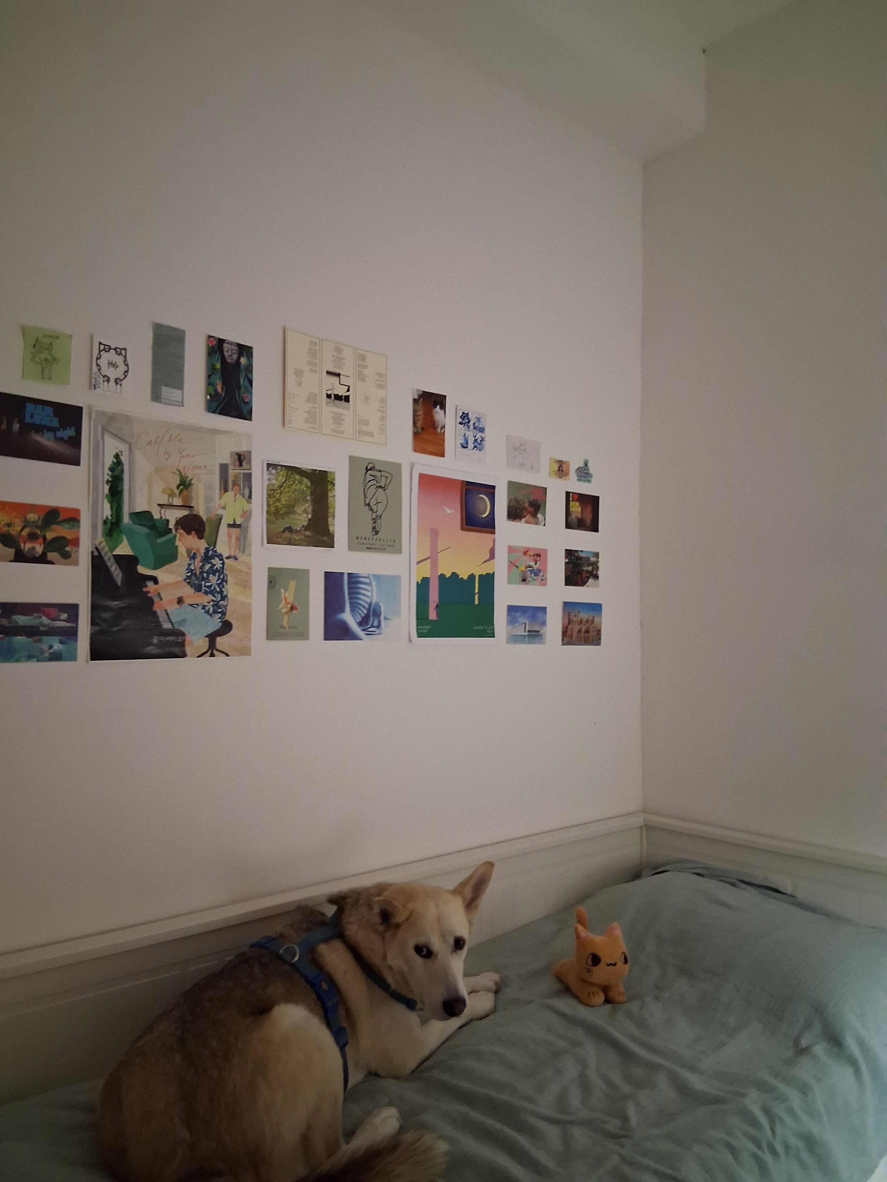 image-15