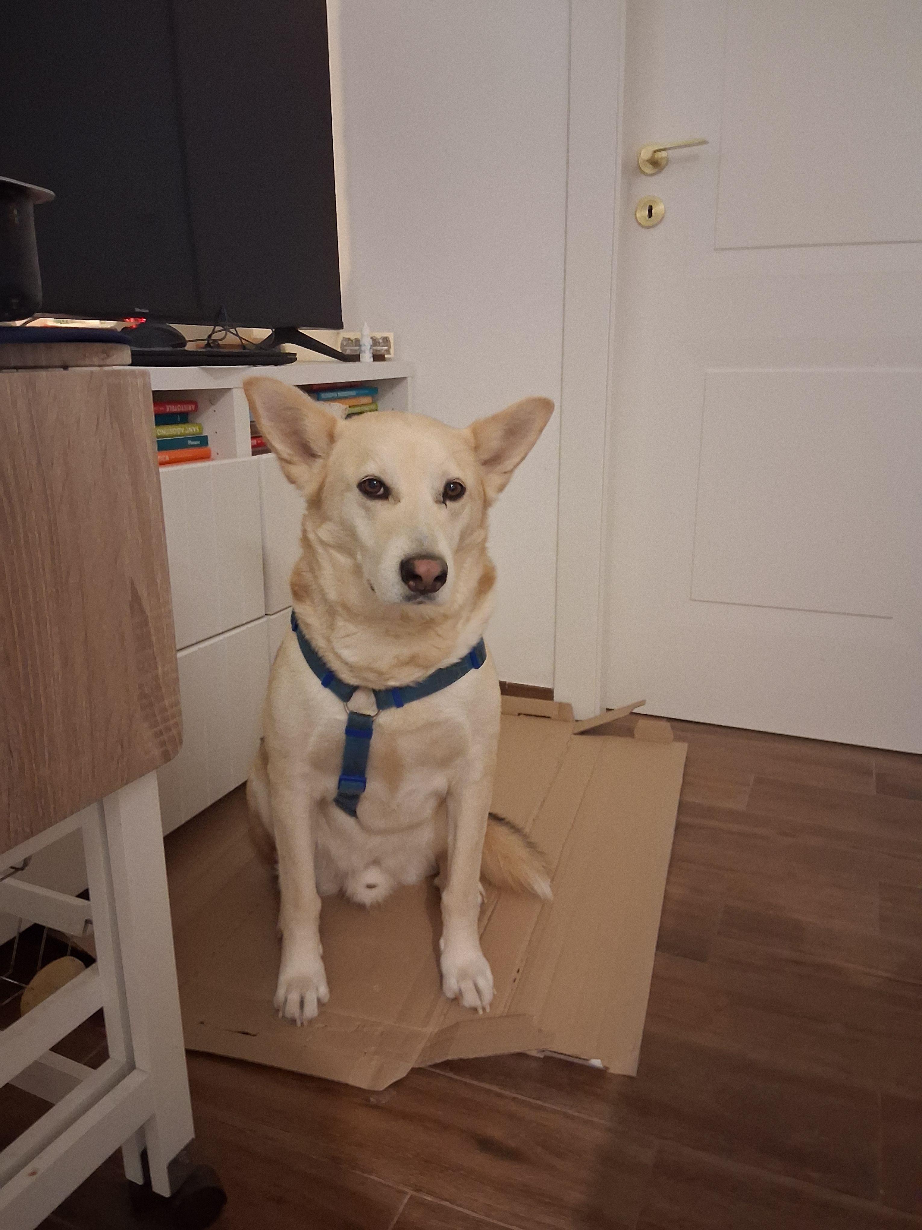 image-18
