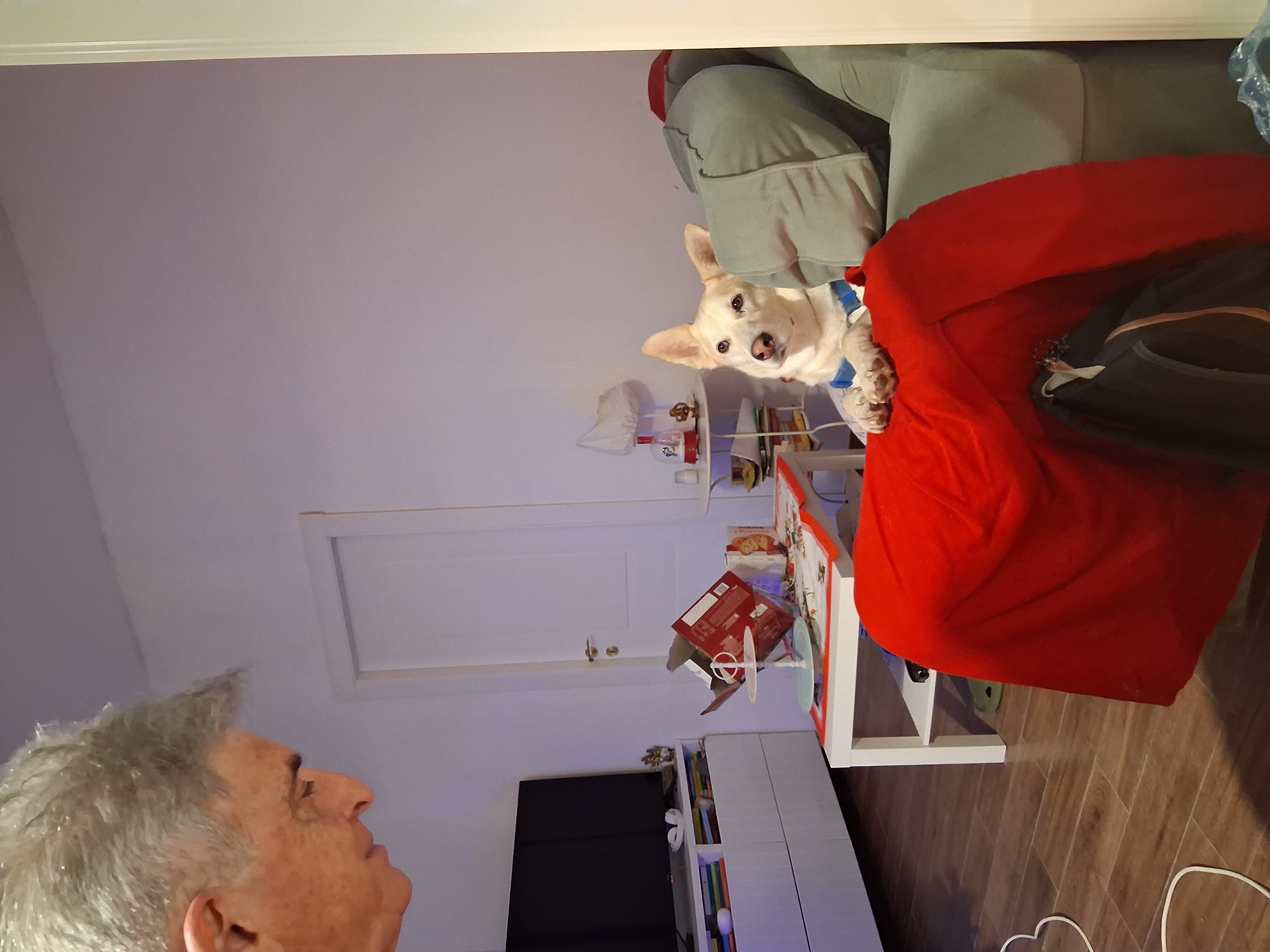 image-16