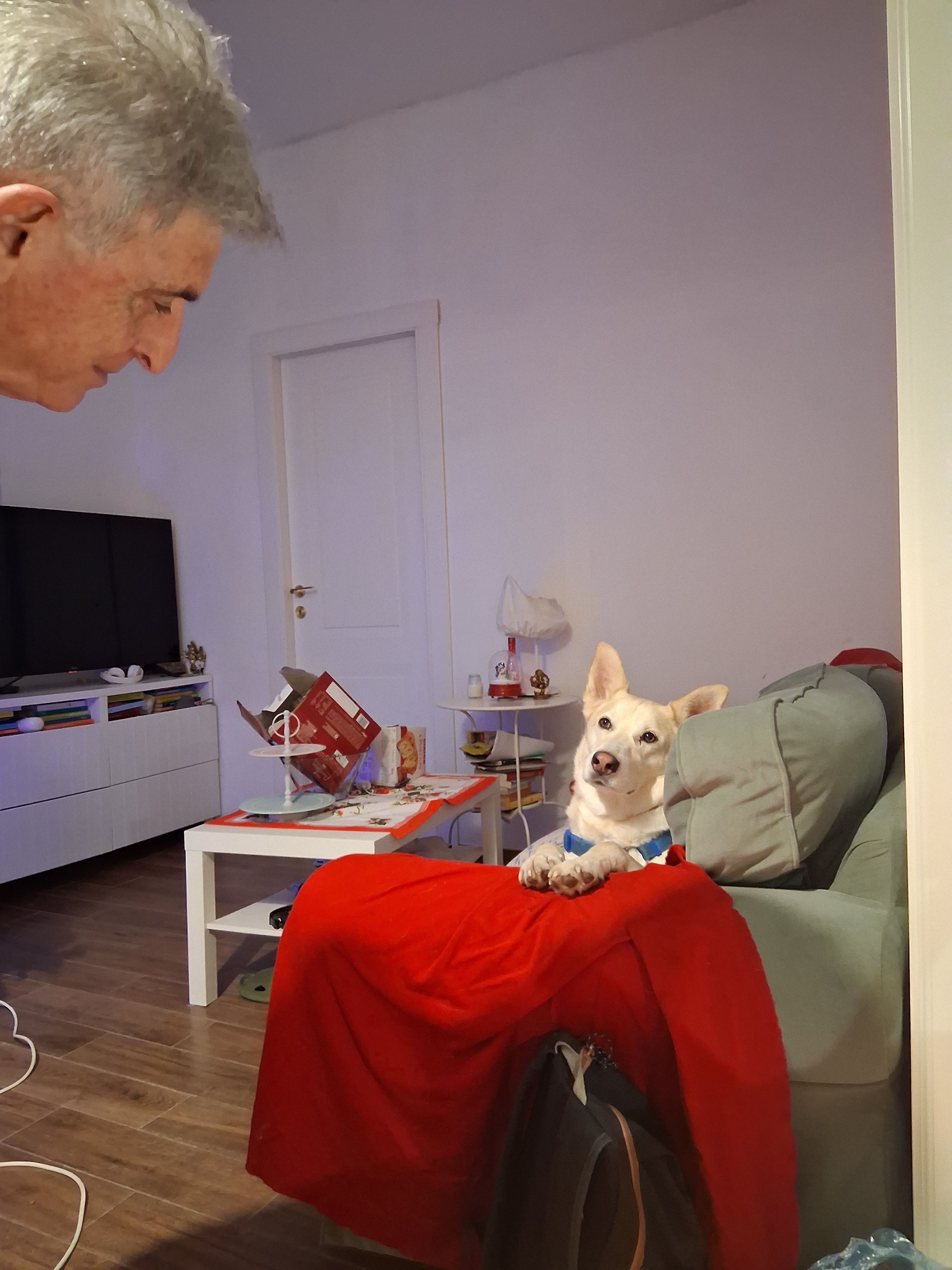 image-16