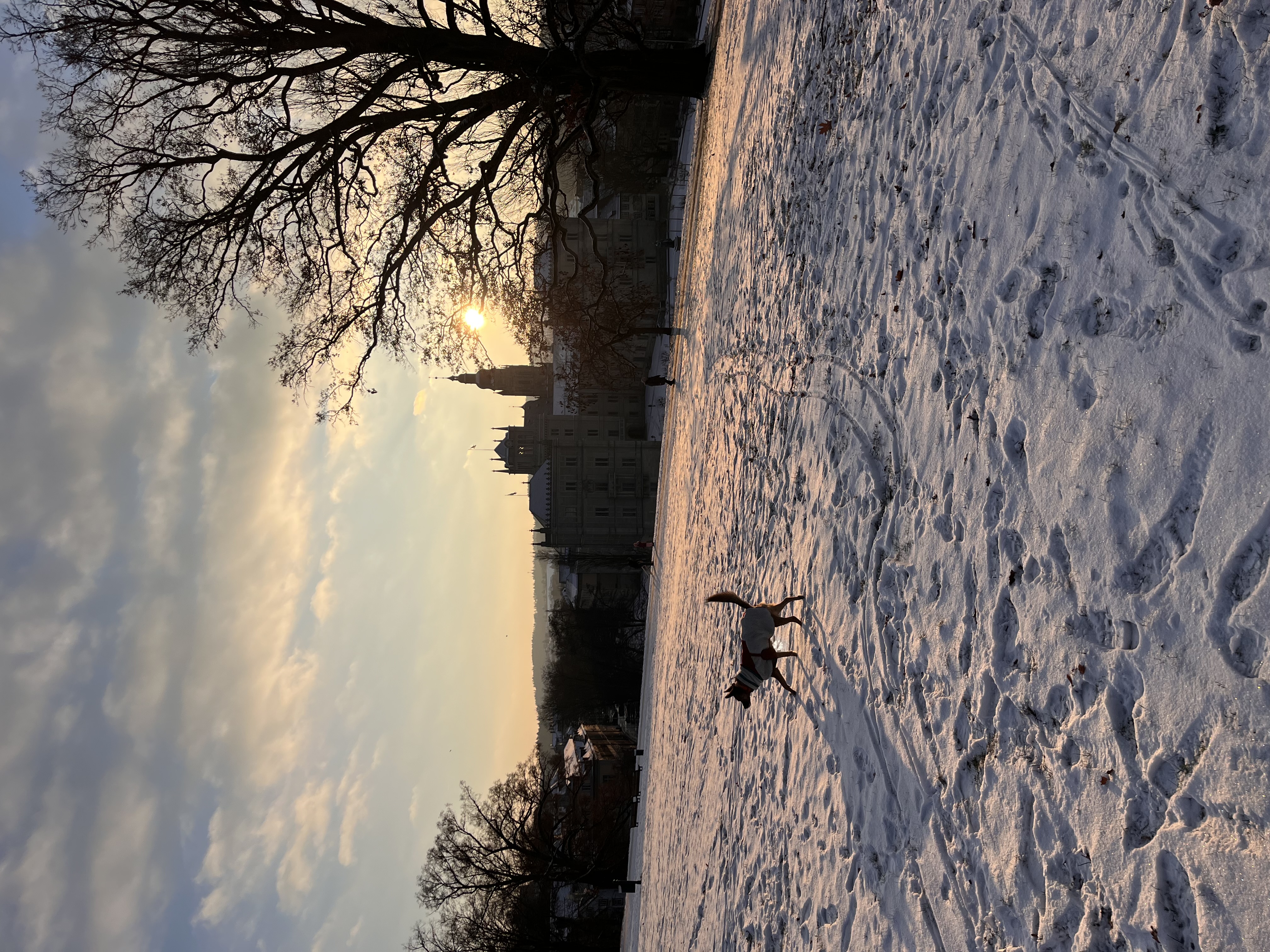 image-18
