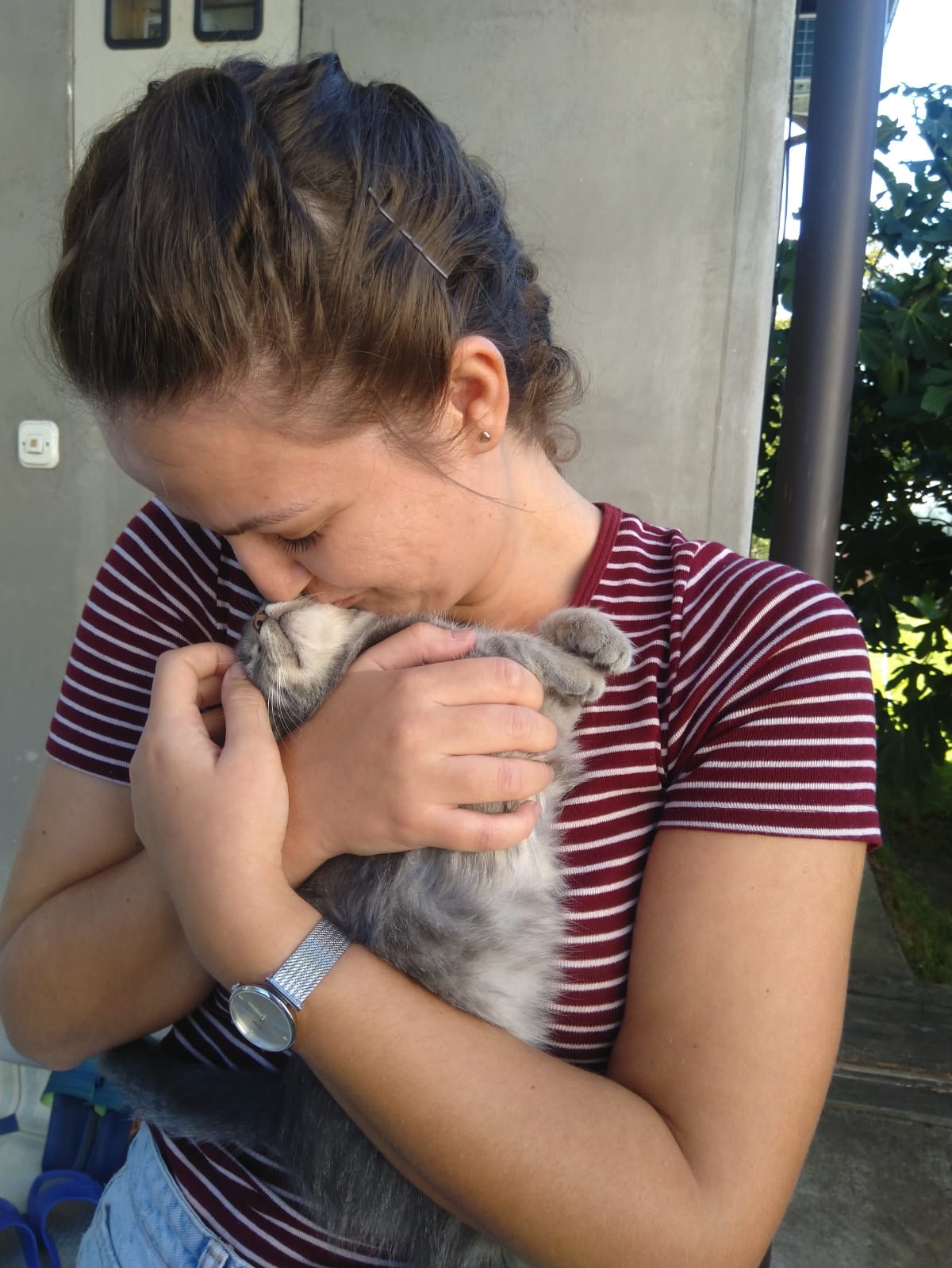 image-6