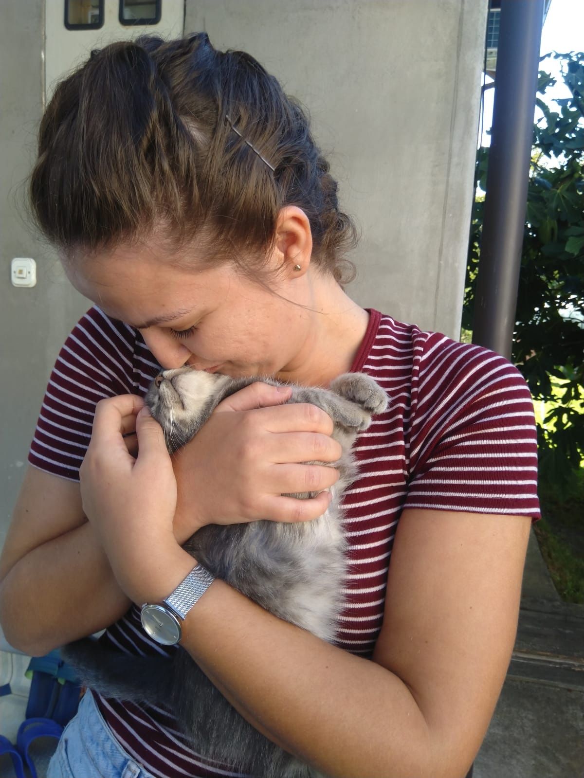 image-6