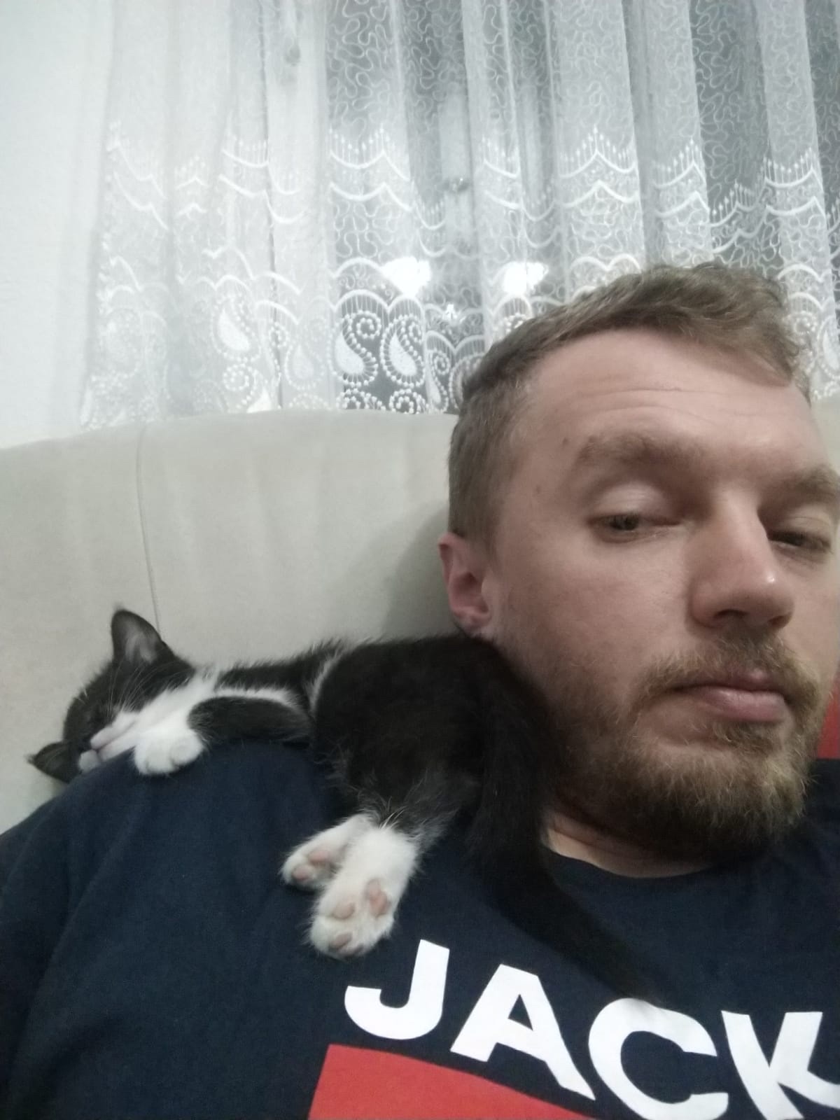 image-7