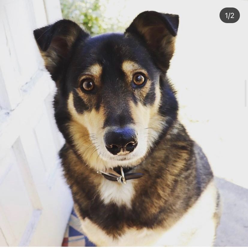 Nala
