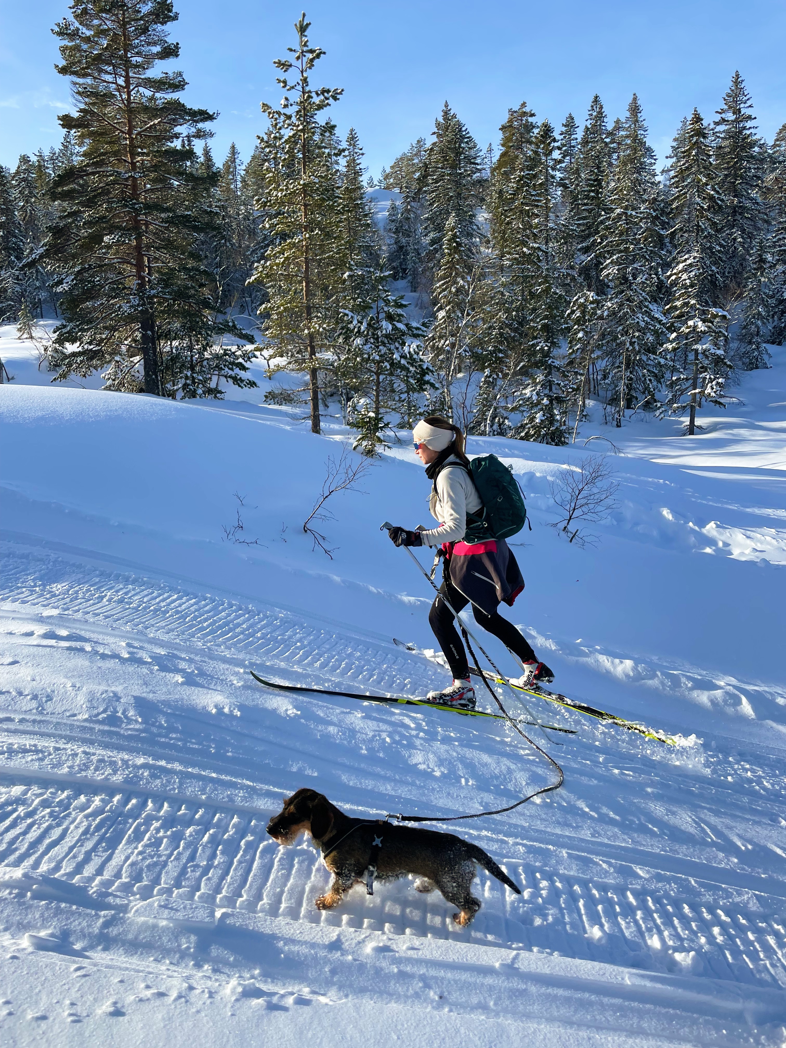 image-7