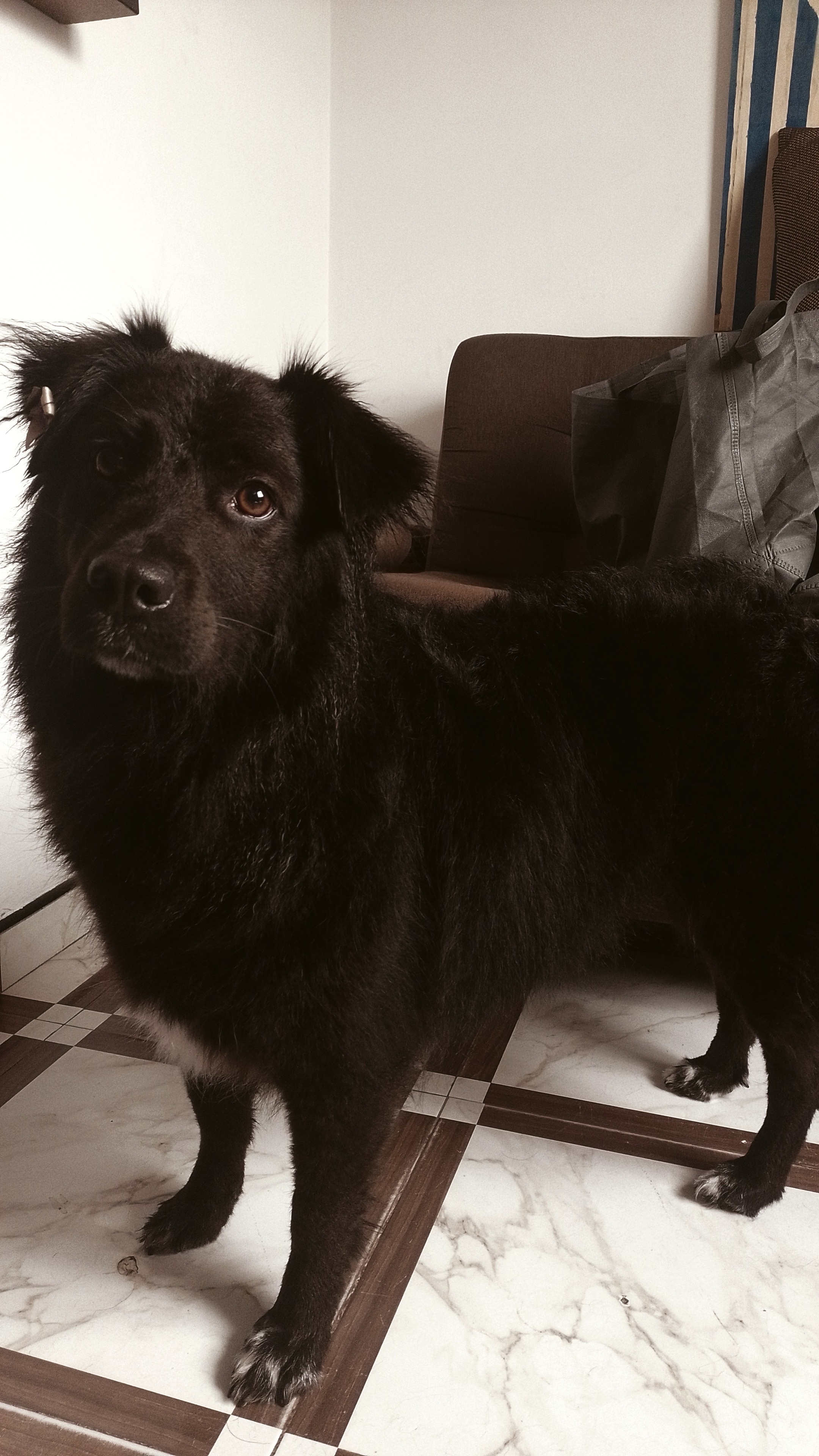 image-9