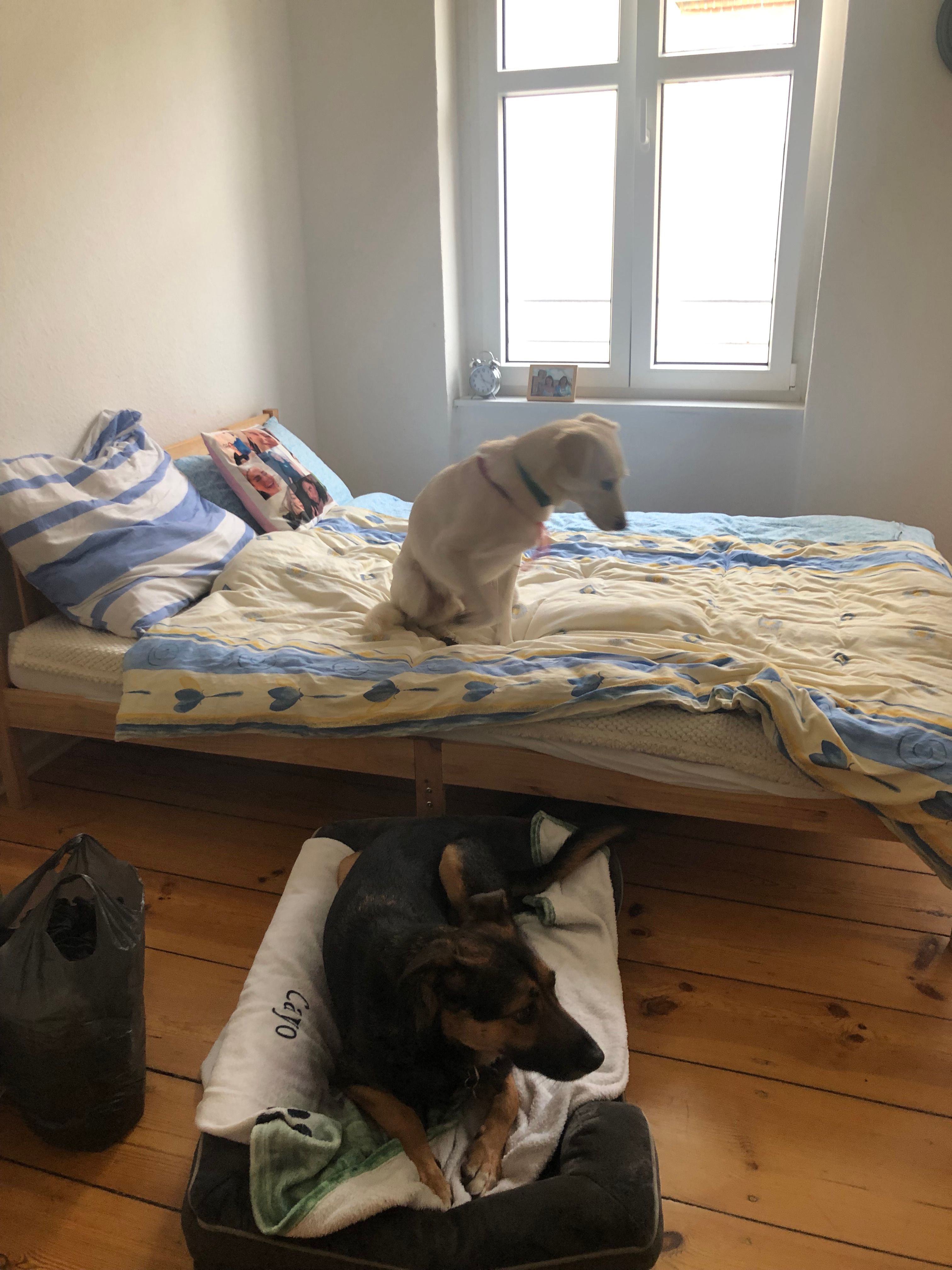 image-17