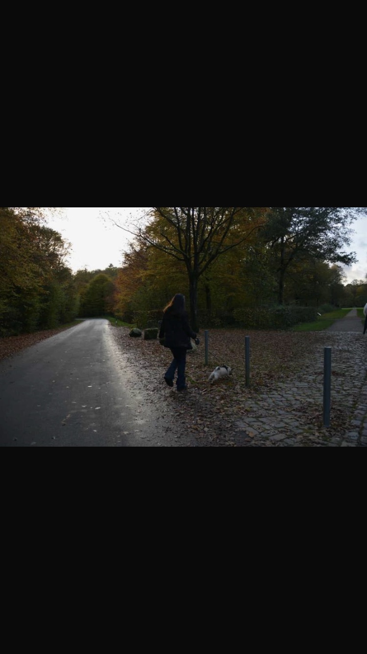 image-14