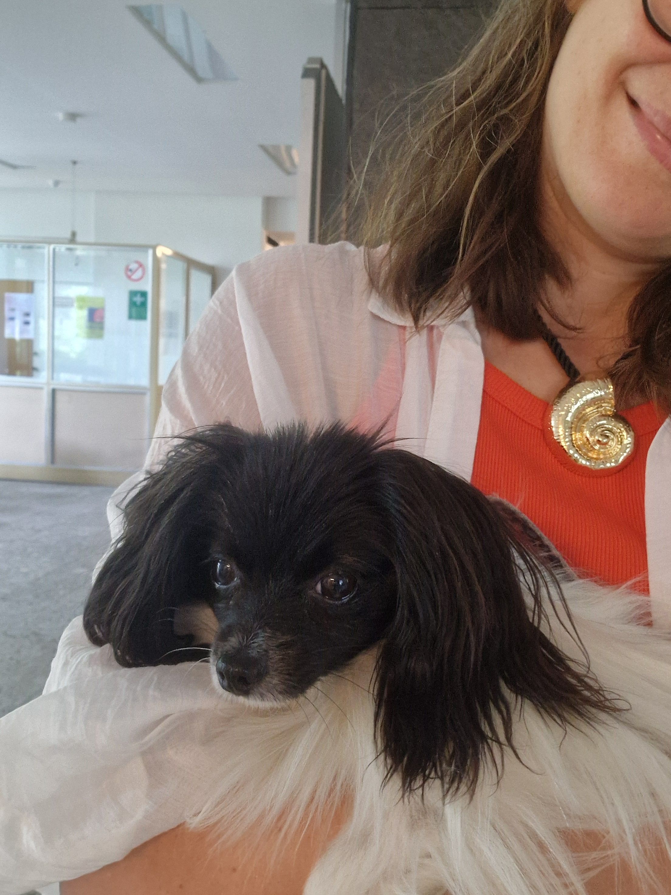 image-4