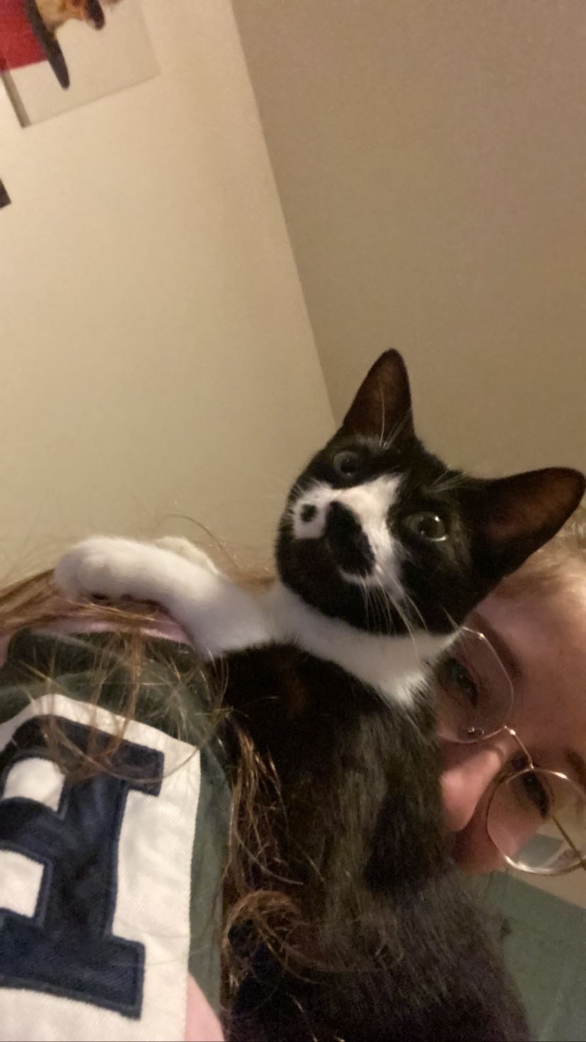 image-8