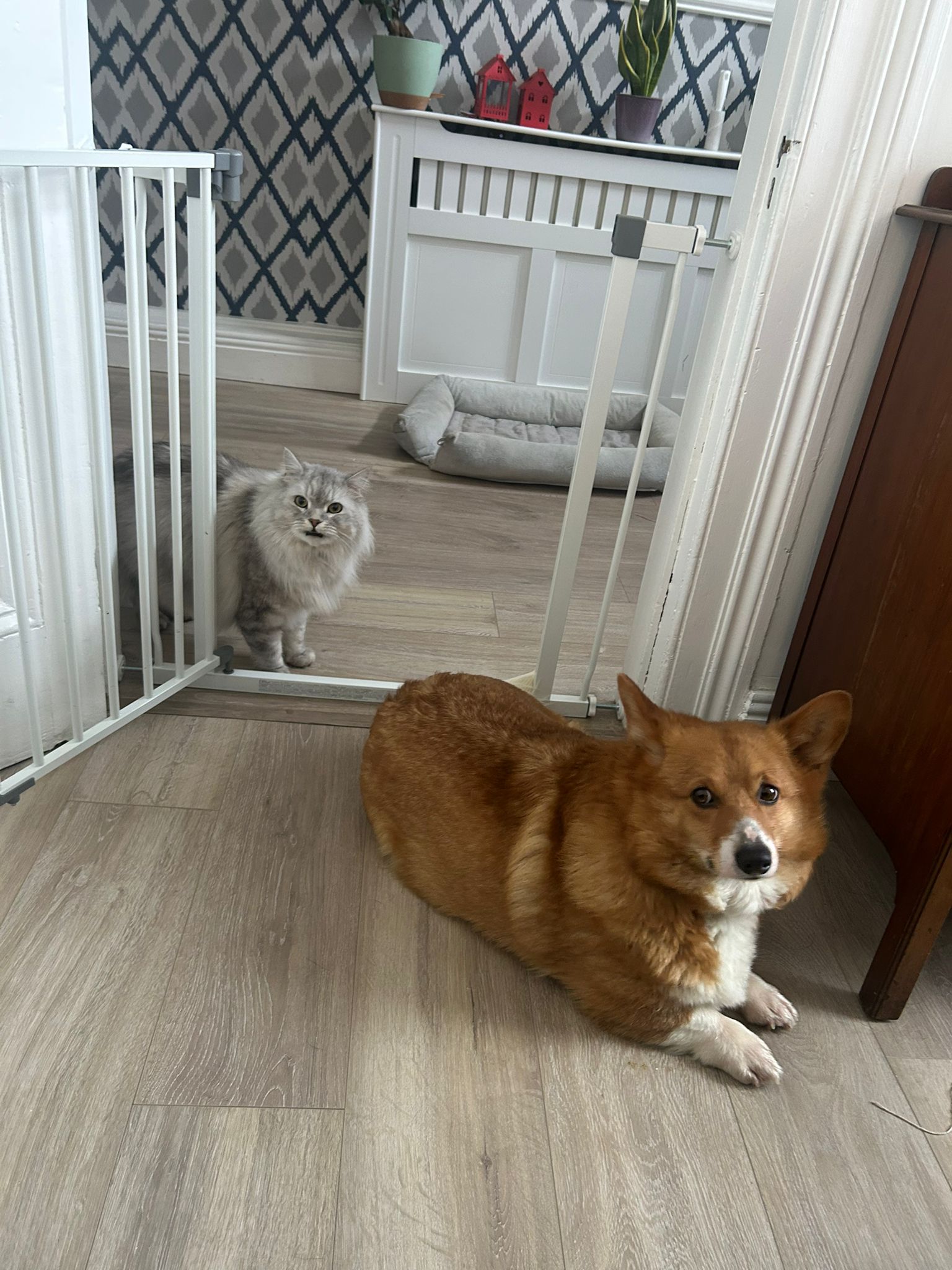 image-10