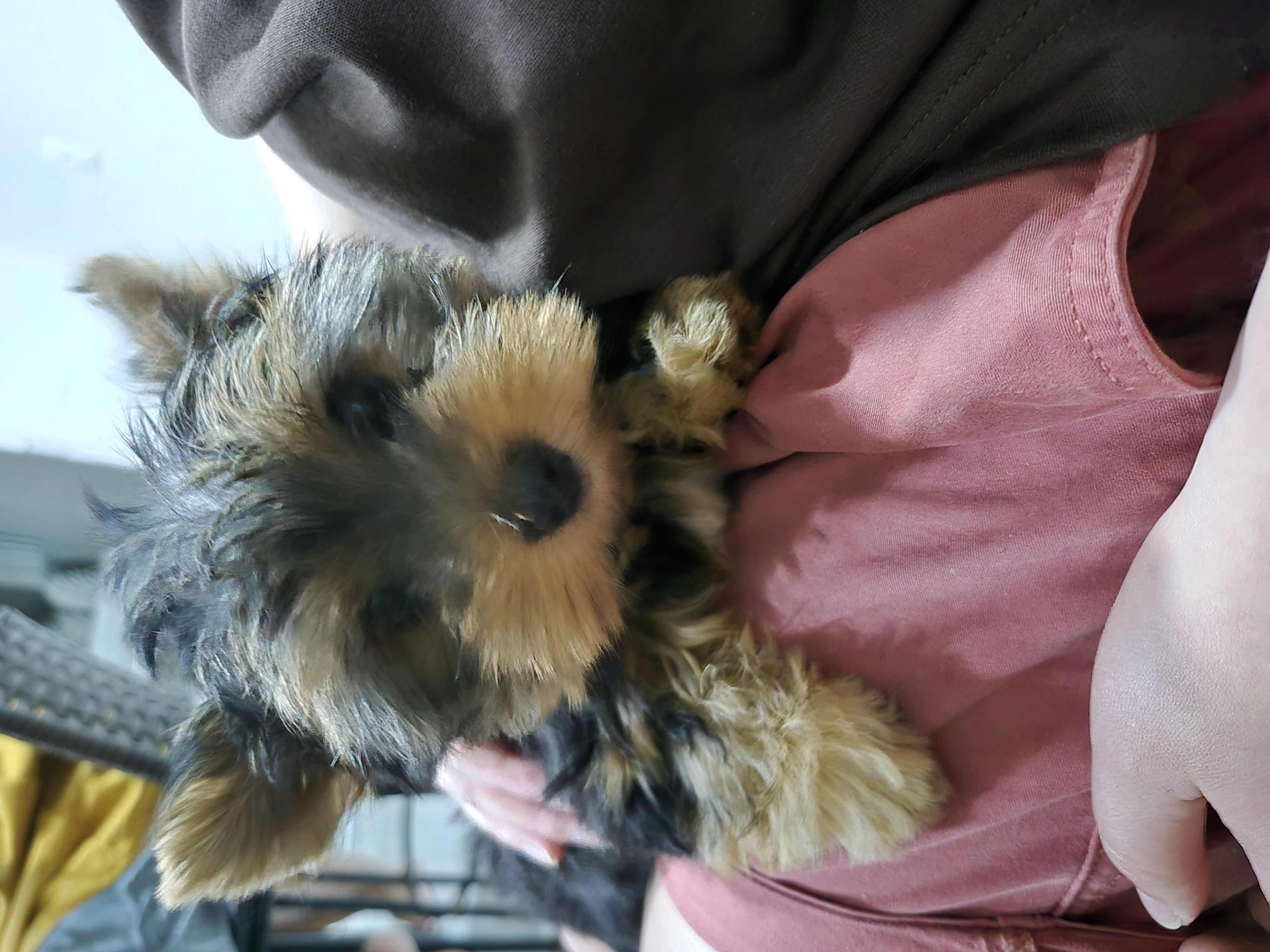 image-7