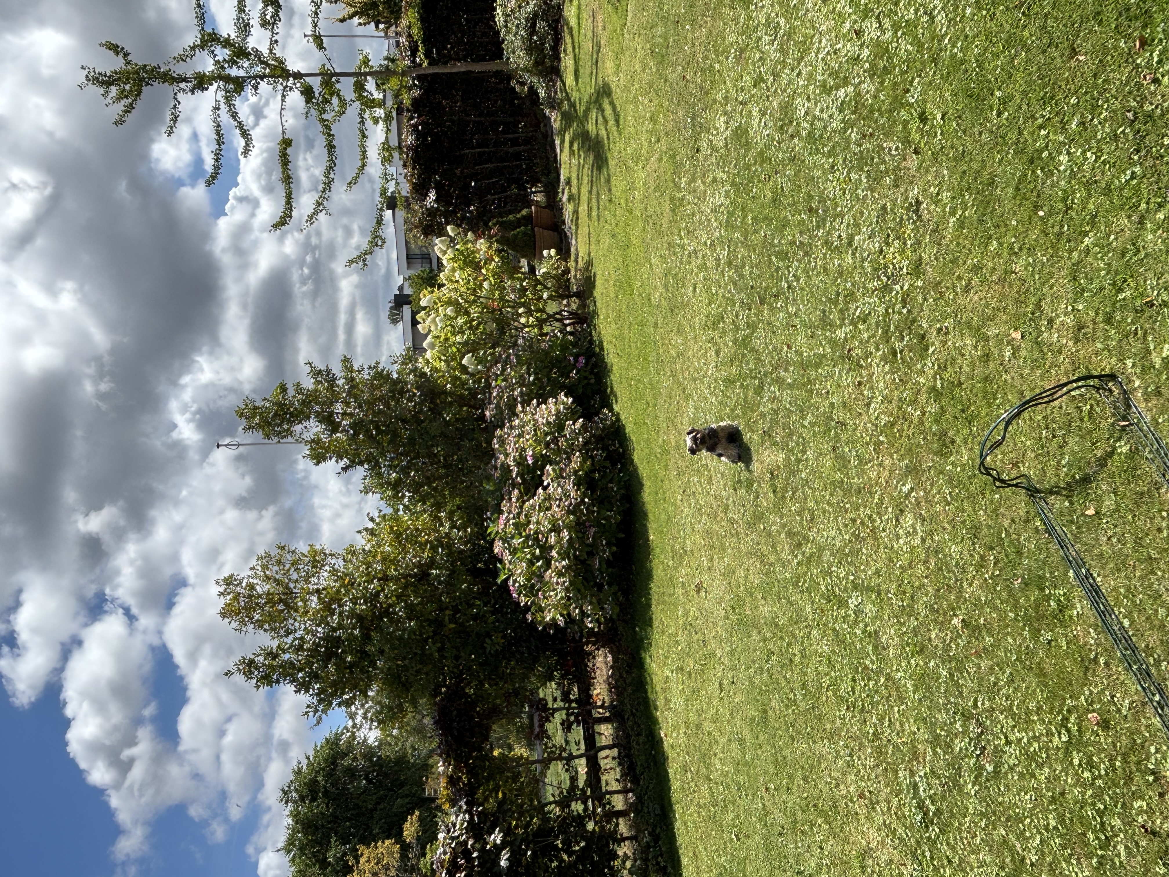 image-6