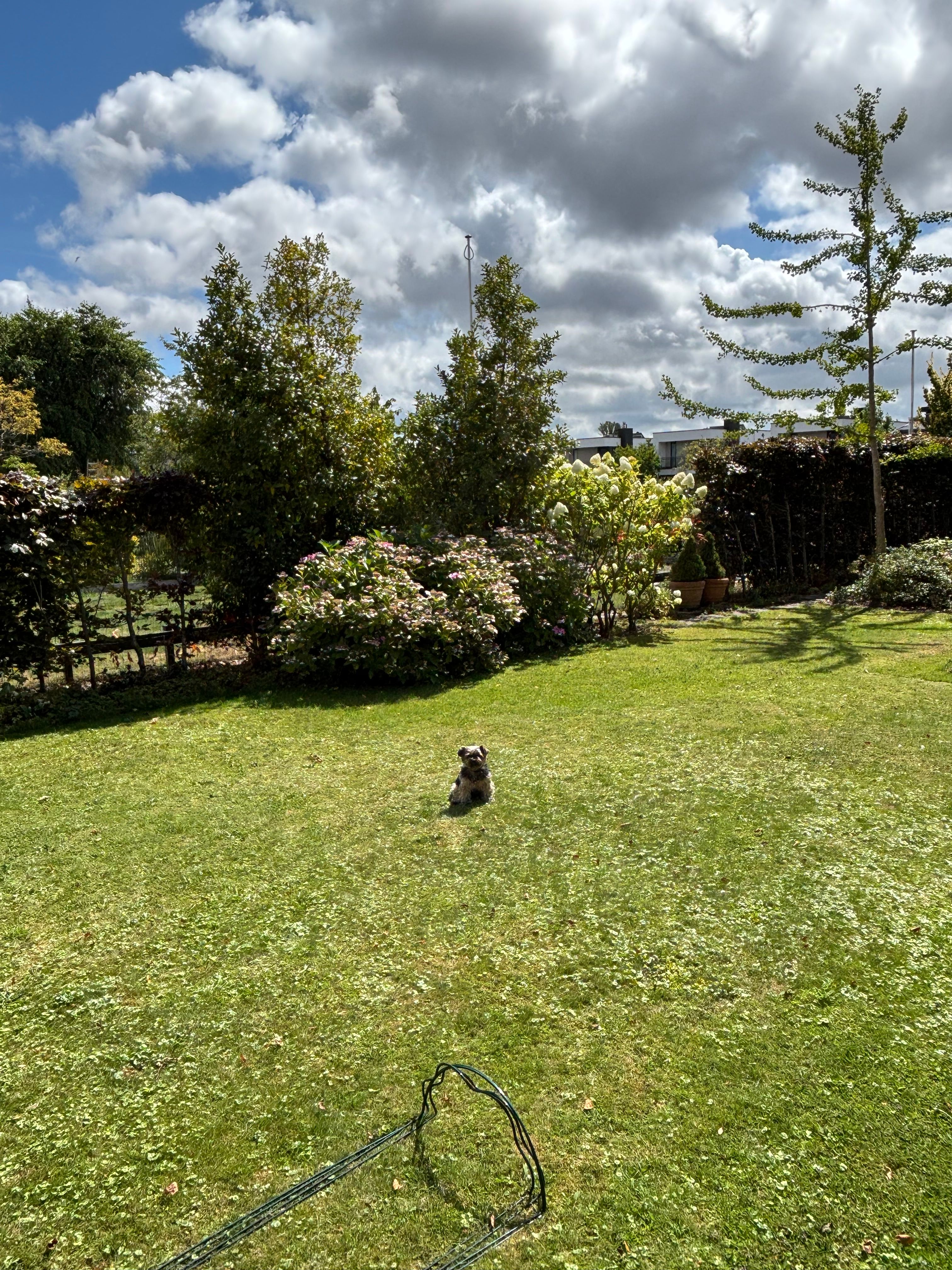 image-6