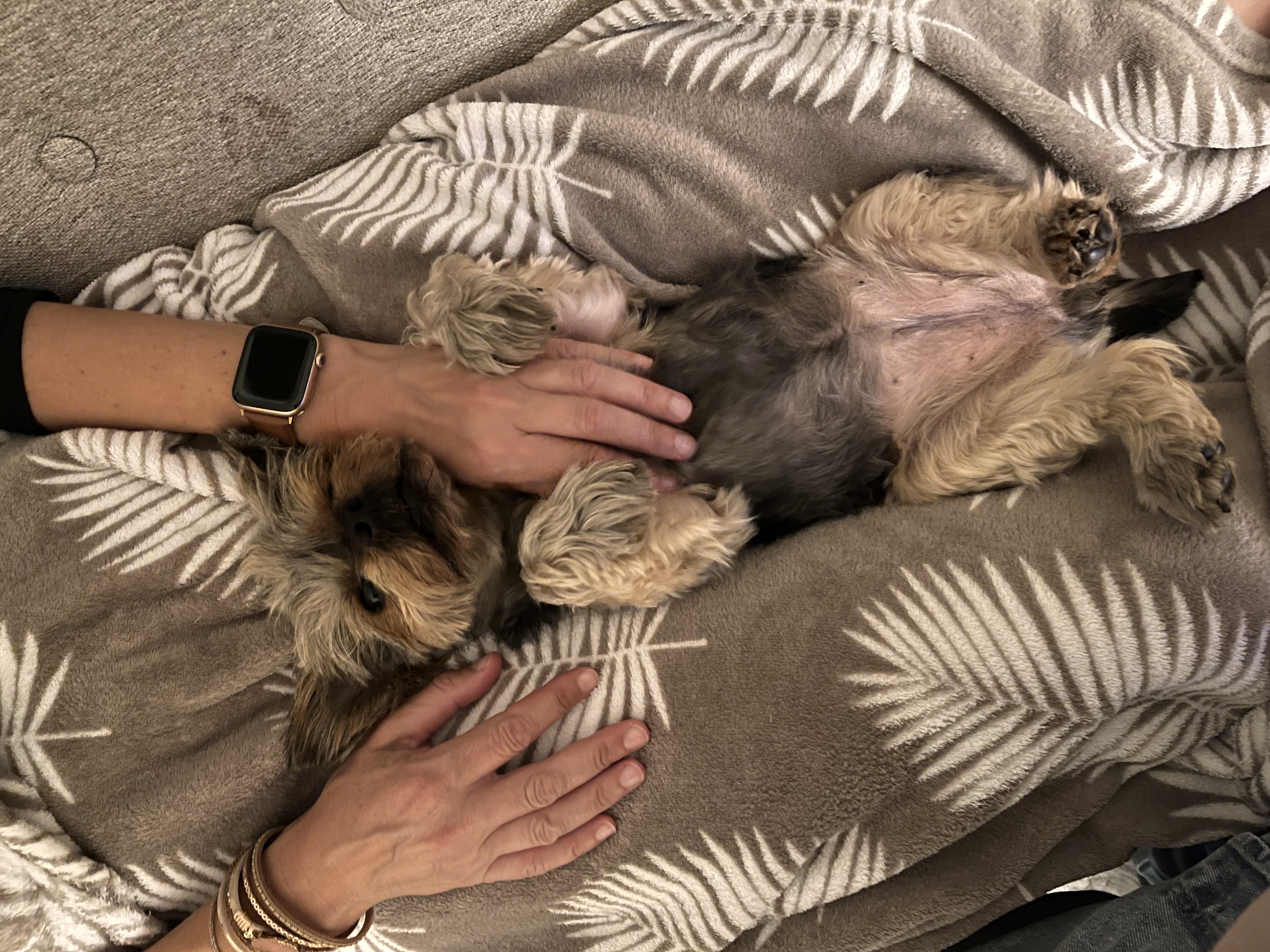 image-7