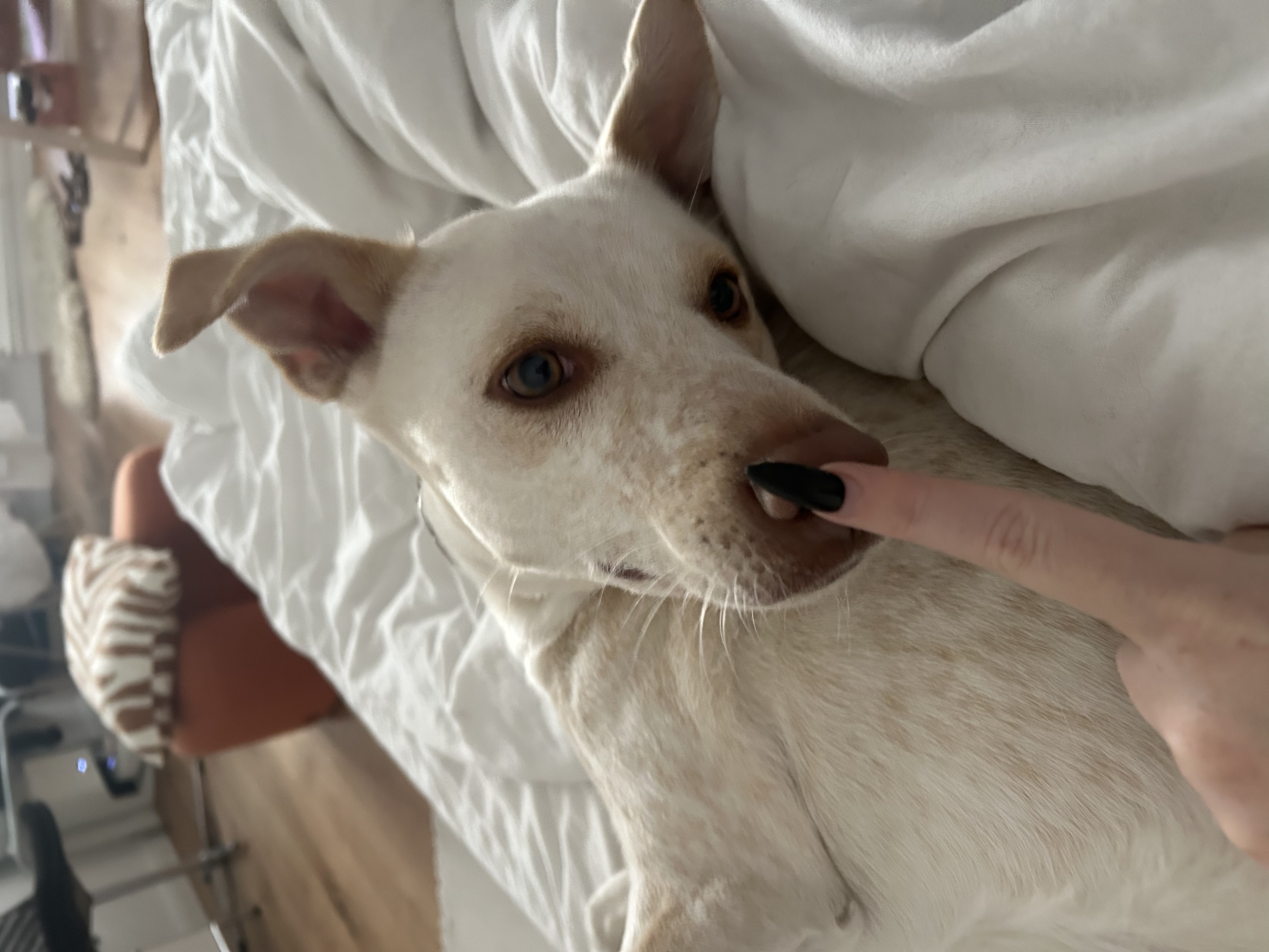 image-6