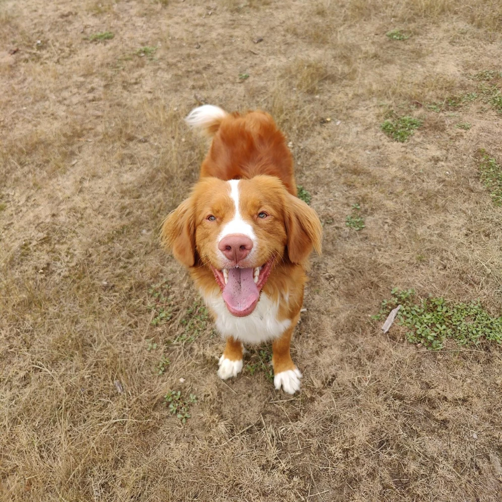Yuki