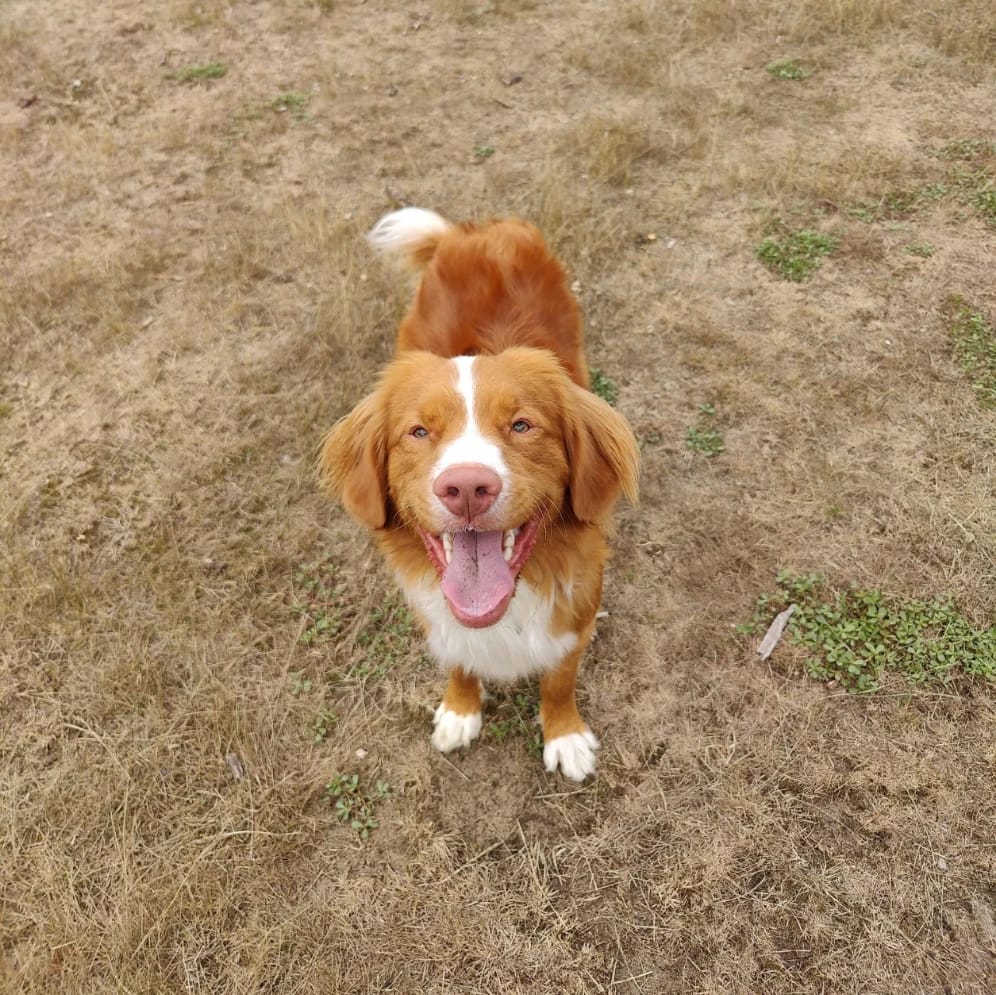 Yuki