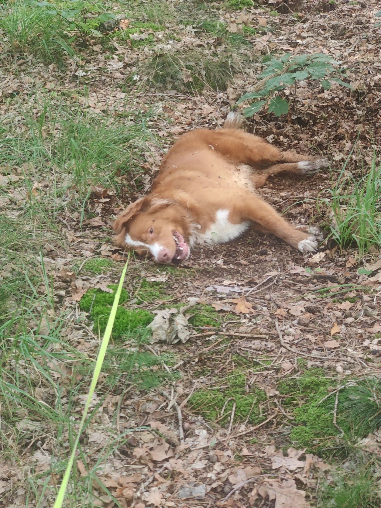 image-7