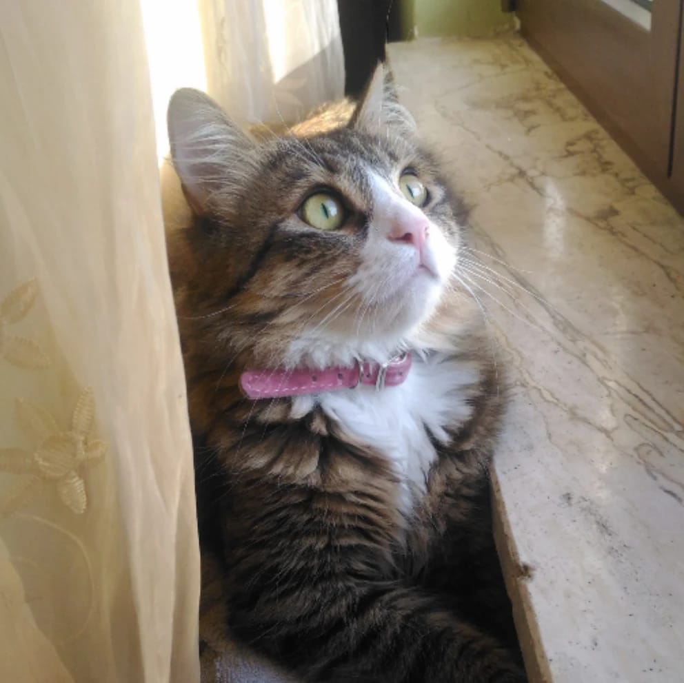 Luna