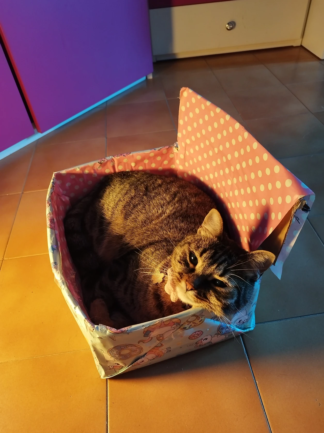image-7