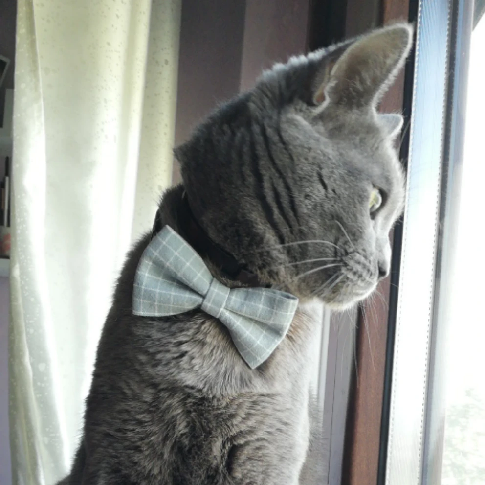 Romeo