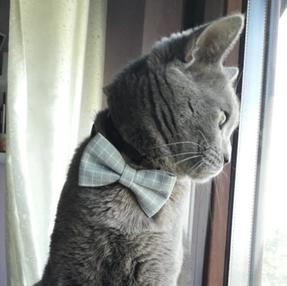 Romeo