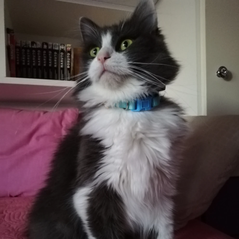 Aiko