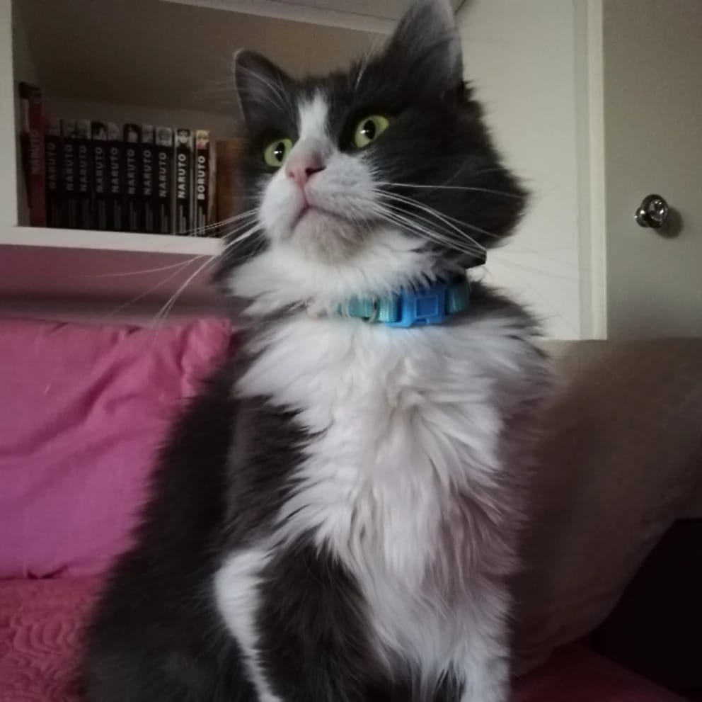 Aiko