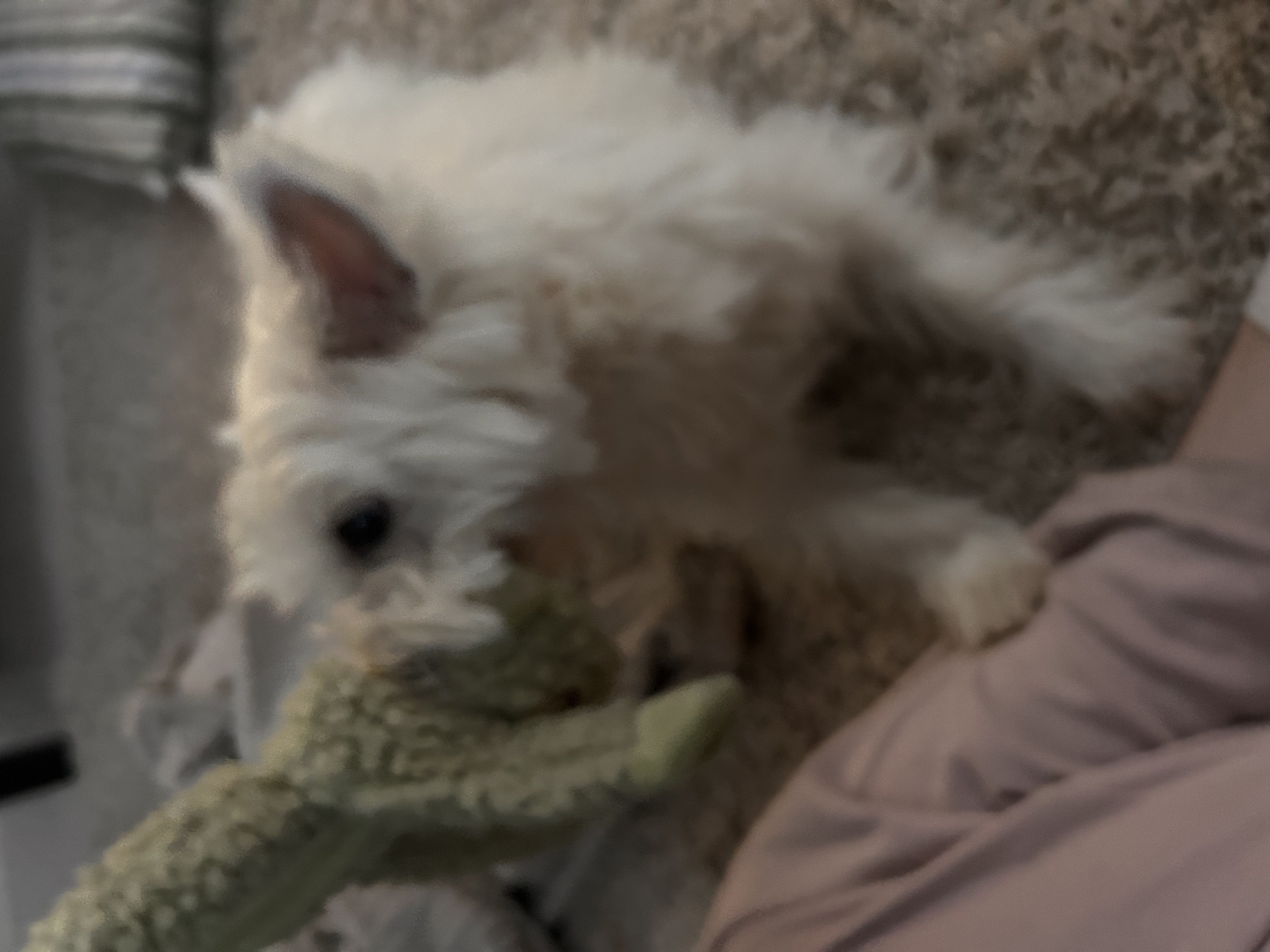 image-9