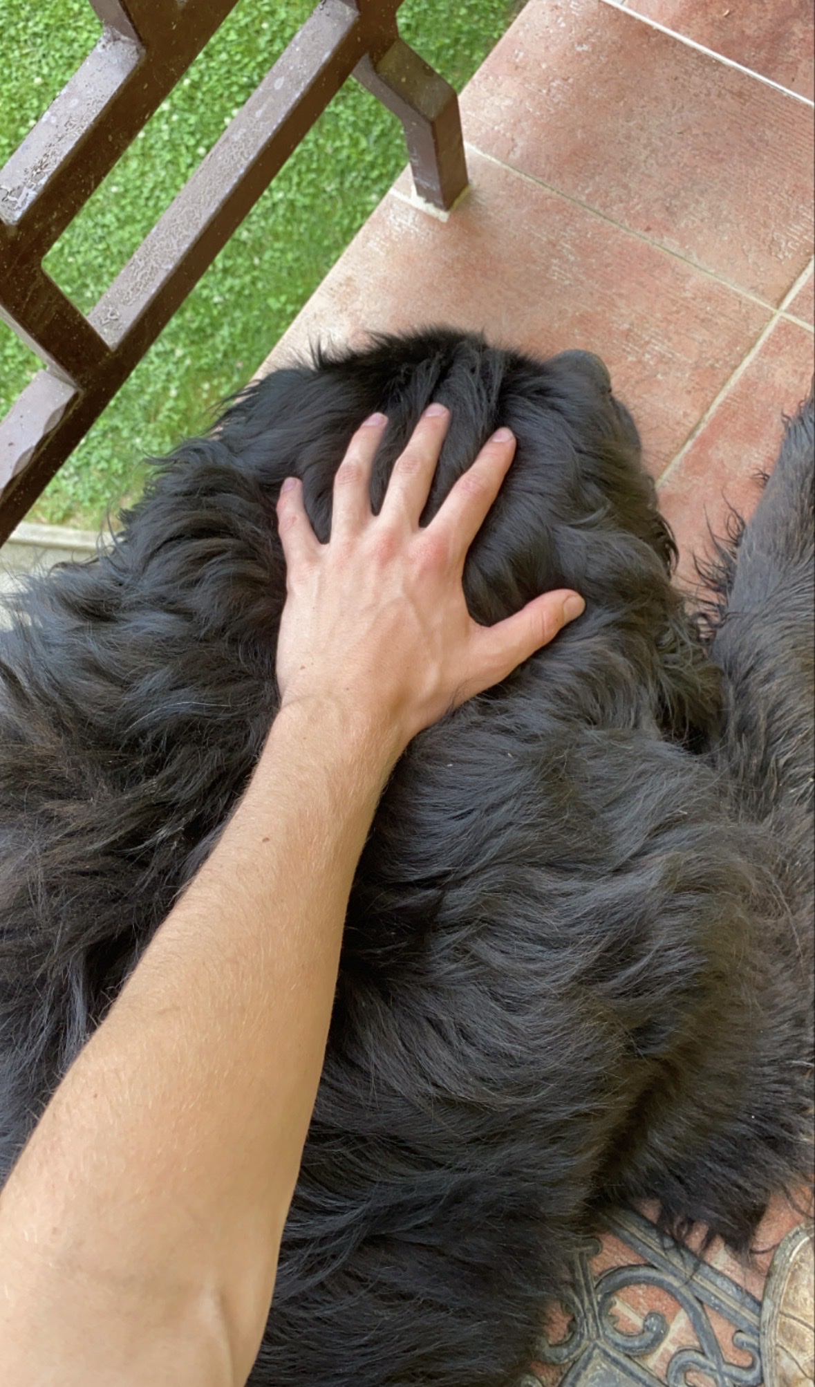 image-6