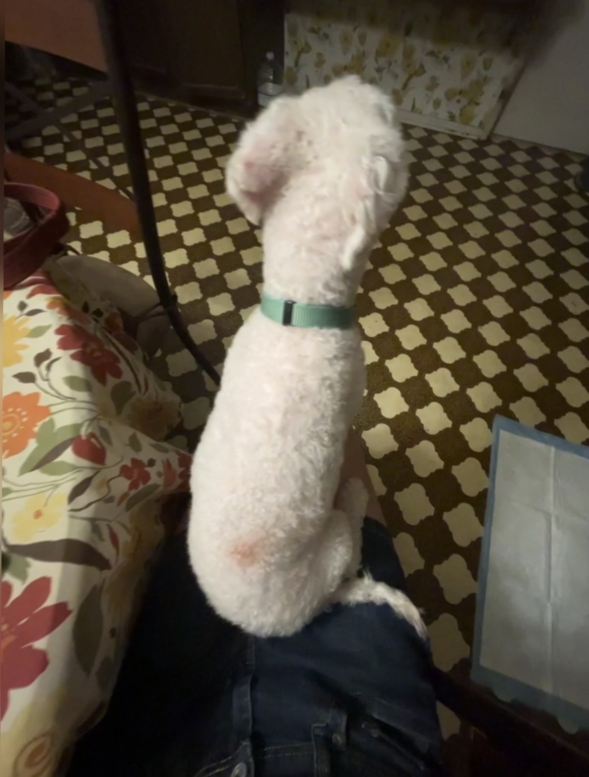 image-4