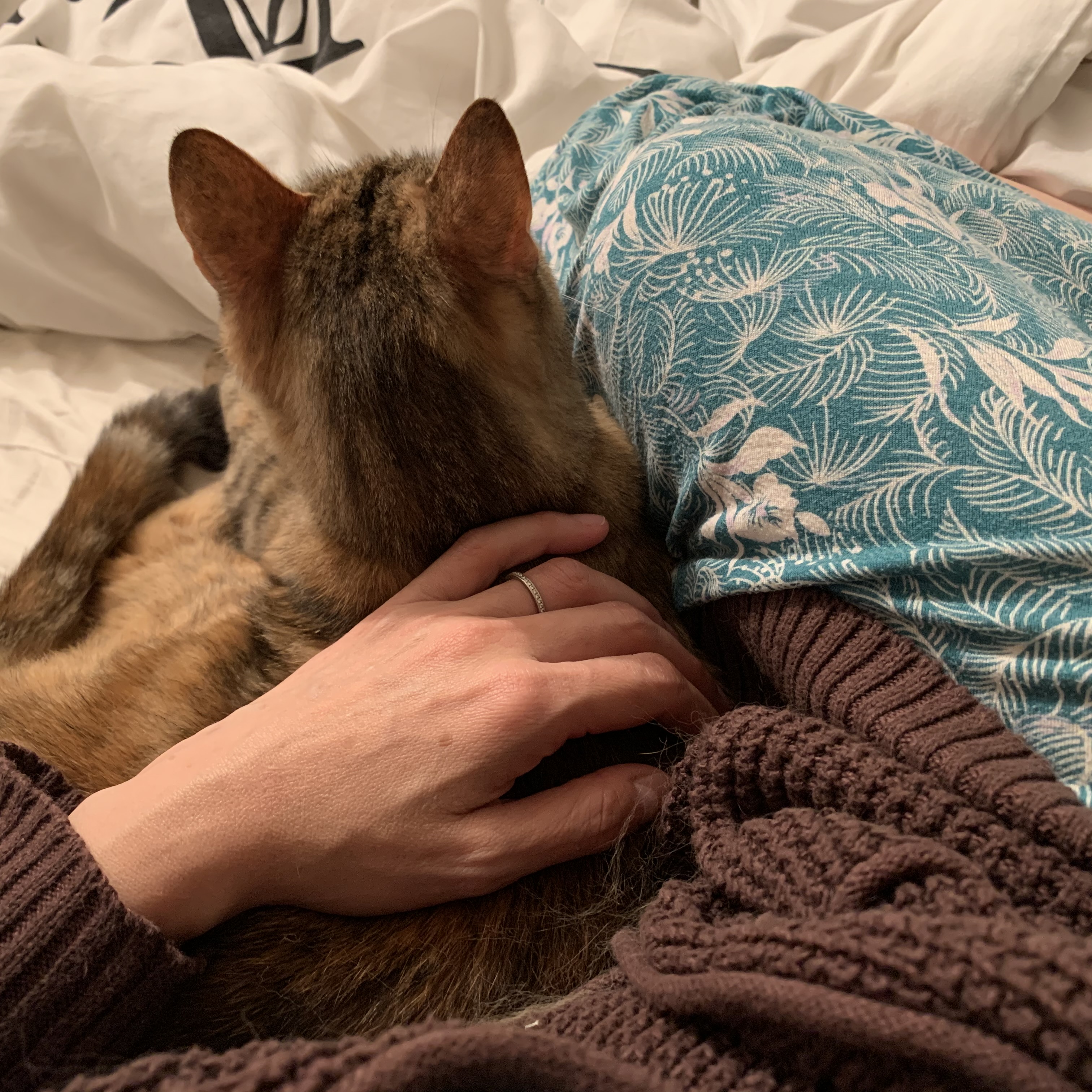 image-12