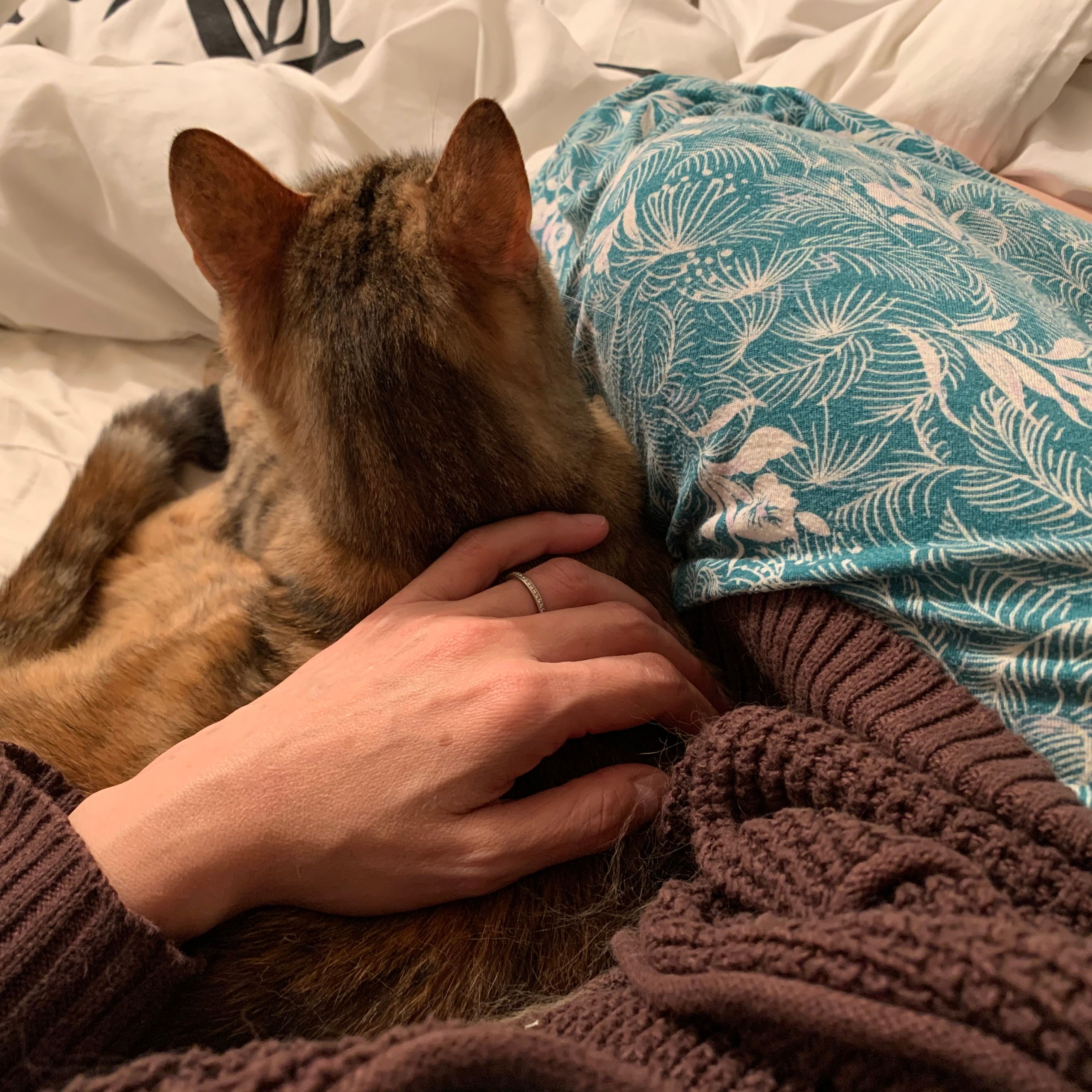 image-12